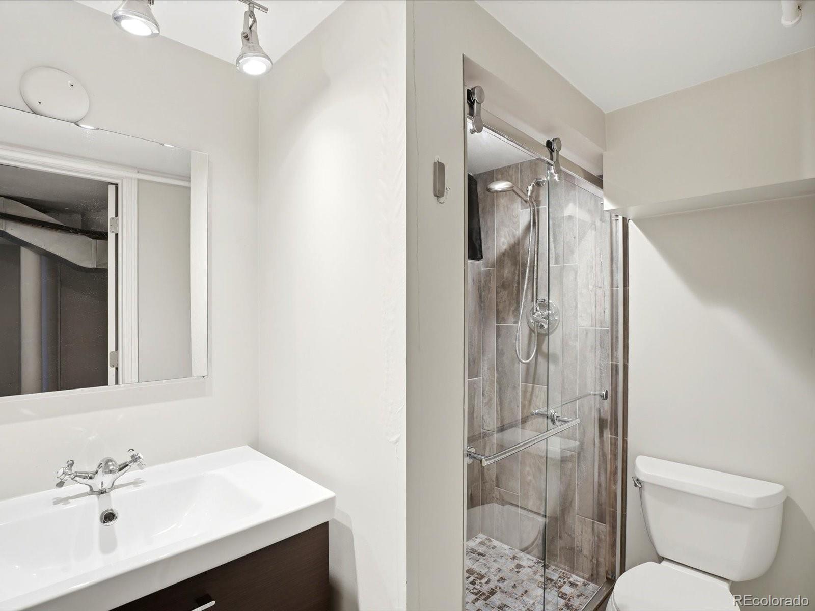 MLS Image #29 for 4208  decatur street,denver, Colorado