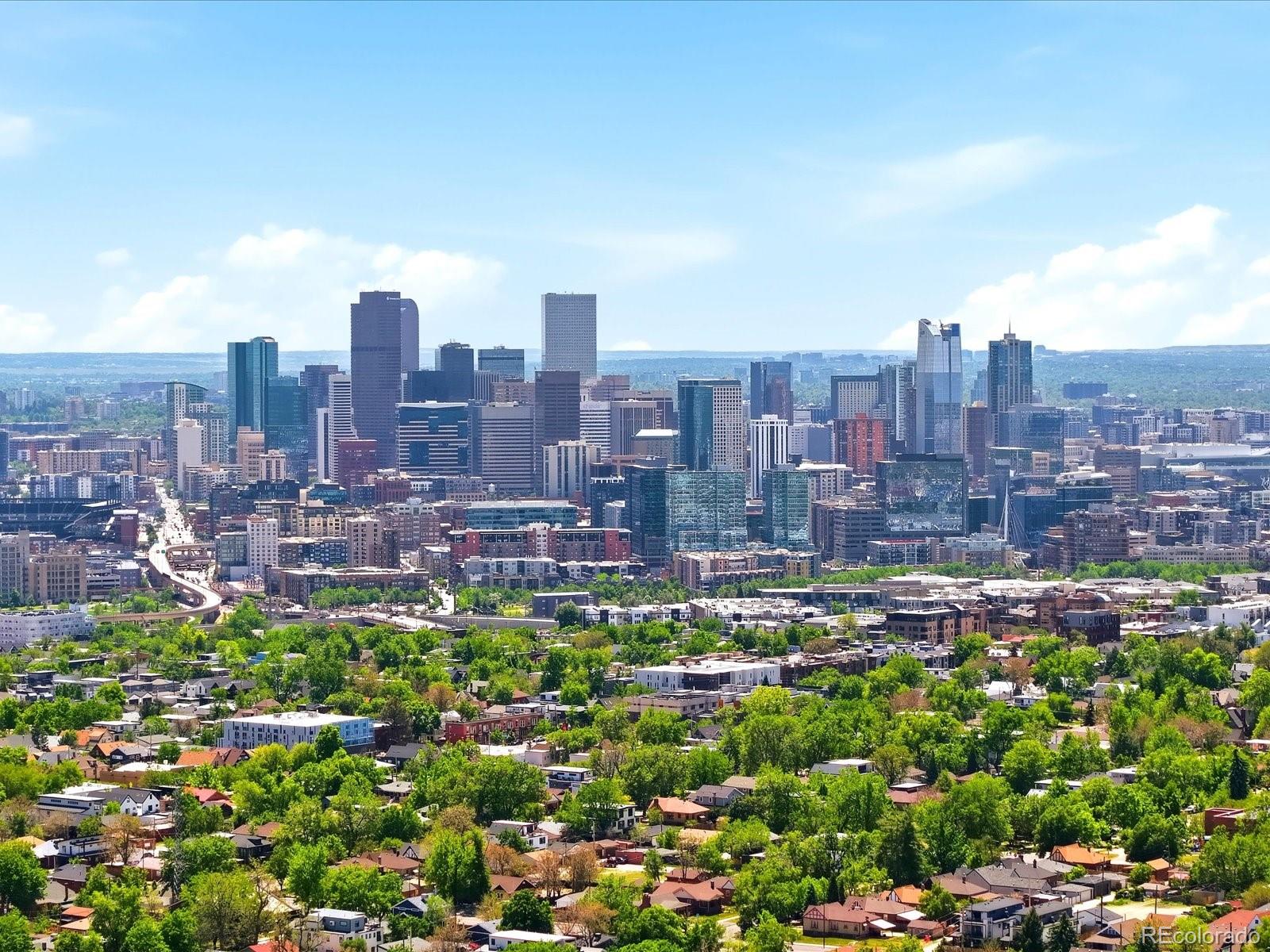 MLS Image #40 for 4208  decatur street,denver, Colorado