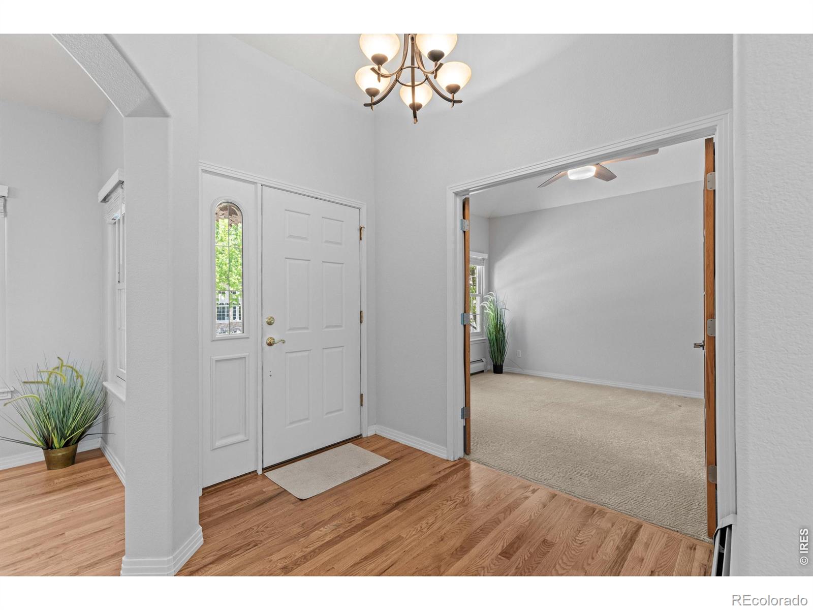 MLS Image #19 for 2957  sonata bay court,longmont, Colorado