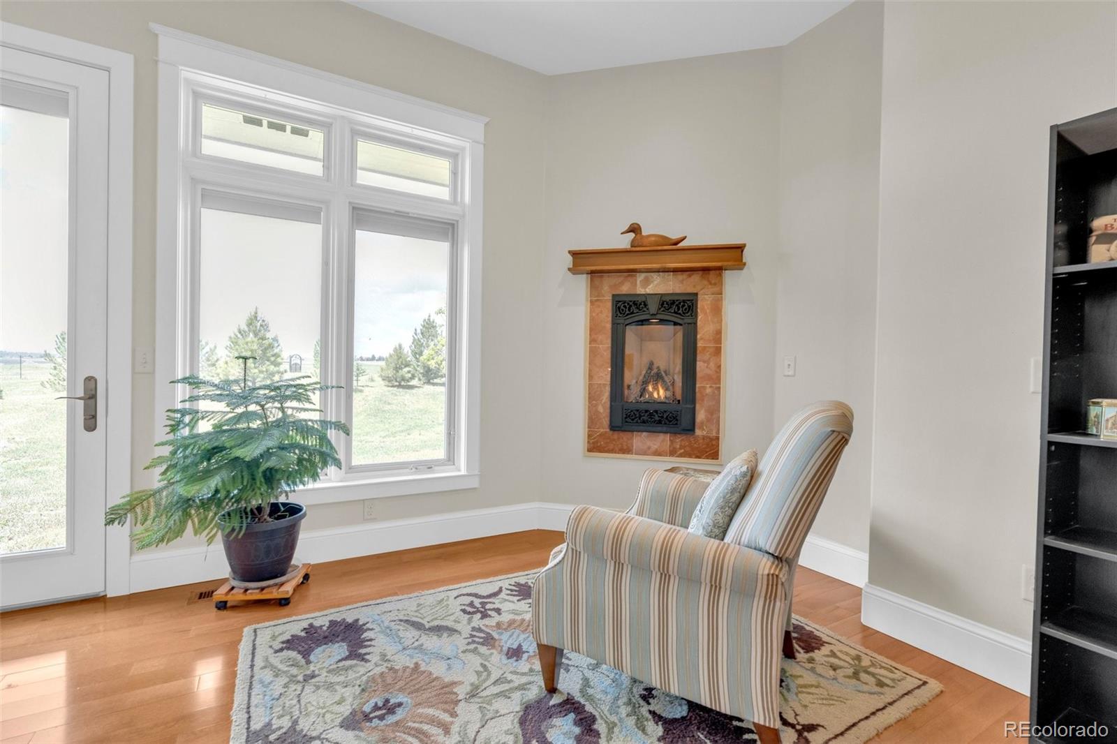 MLS Image #16 for 3830  willownook ranch trail,elizabeth, Colorado