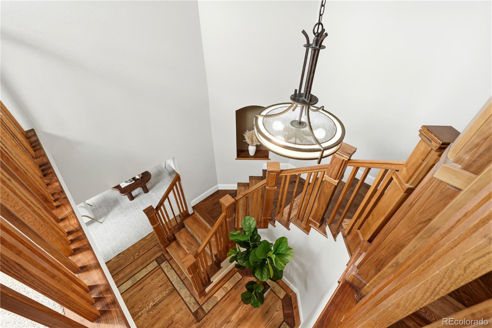 MLS Image #18 for 204  corby place,castle pines, Colorado