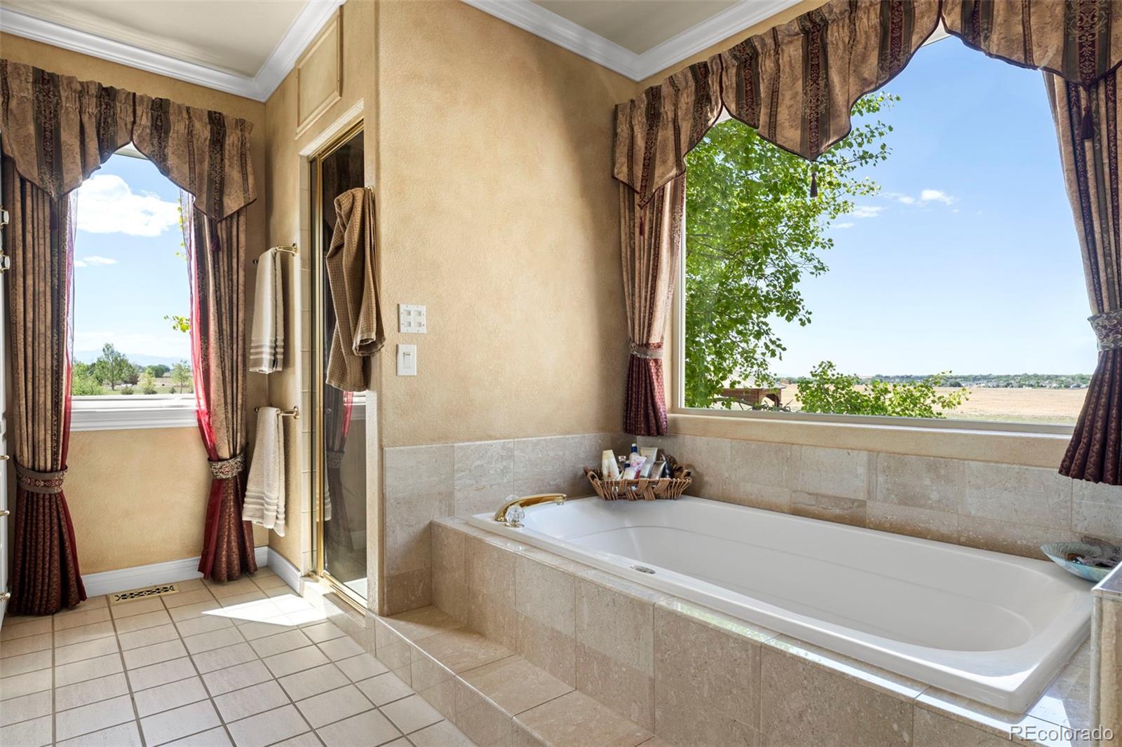 MLS Image #16 for 15407  singletree drive,mead, Colorado