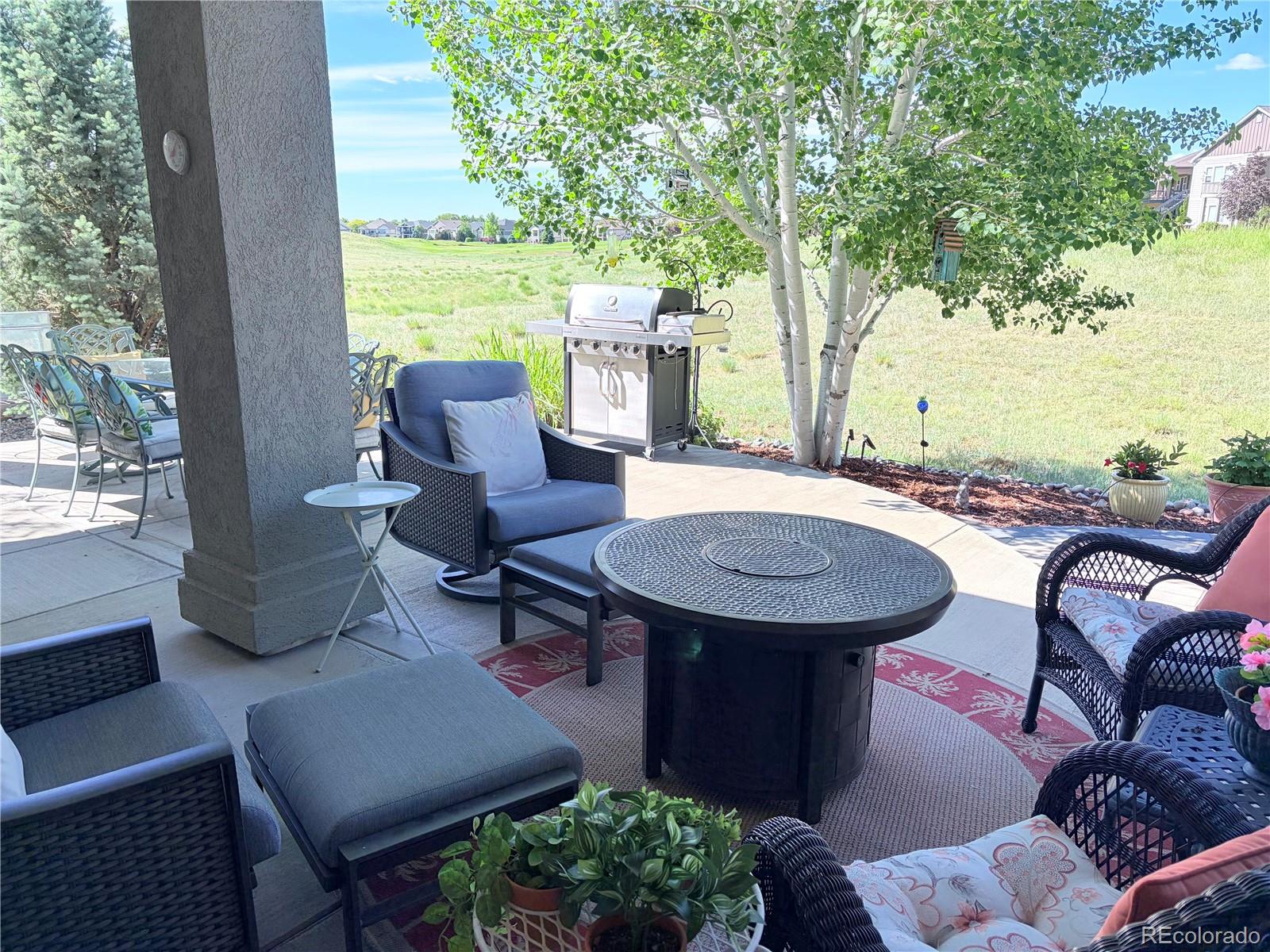 MLS Image #28 for 15165  wabash place,brighton, Colorado