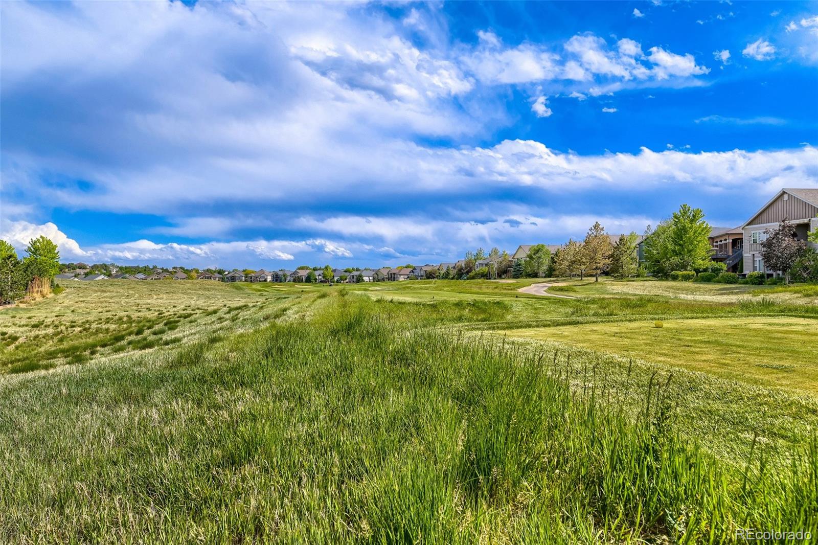 MLS Image #38 for 15165  wabash place,brighton, Colorado