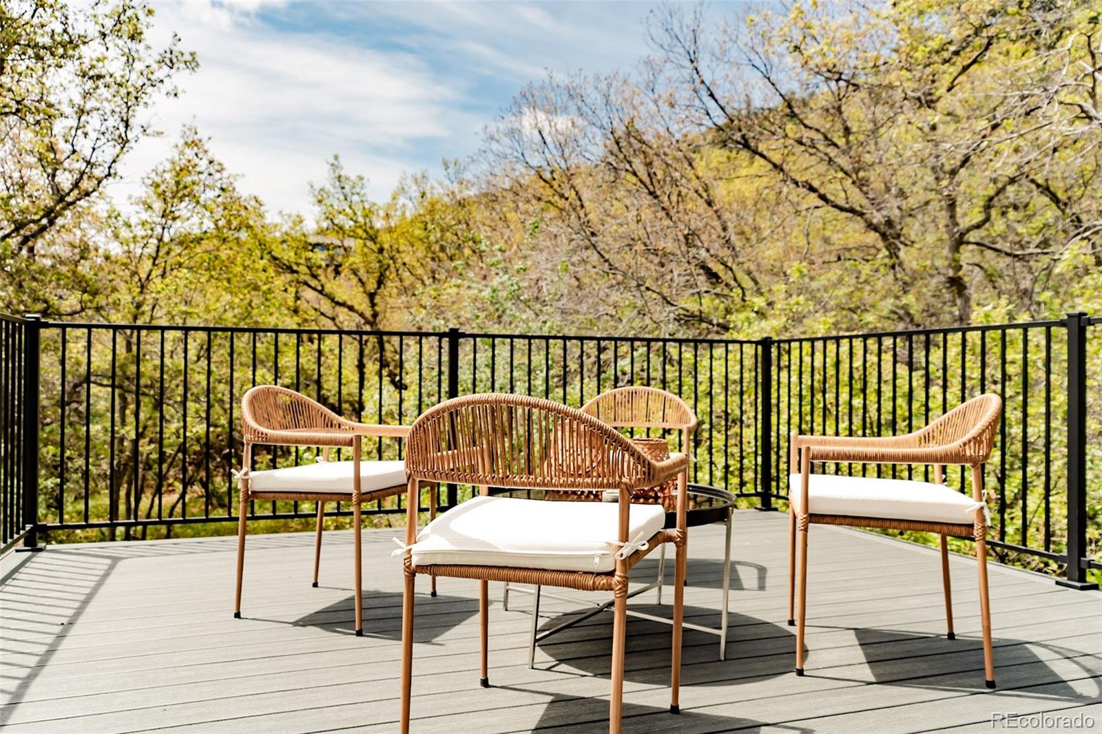 MLS Image #14 for 10542  mossrock run,littleton, Colorado