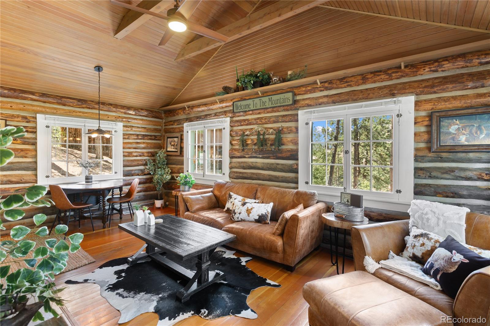 MLS Image #11 for 9120  ute road,cascade, Colorado