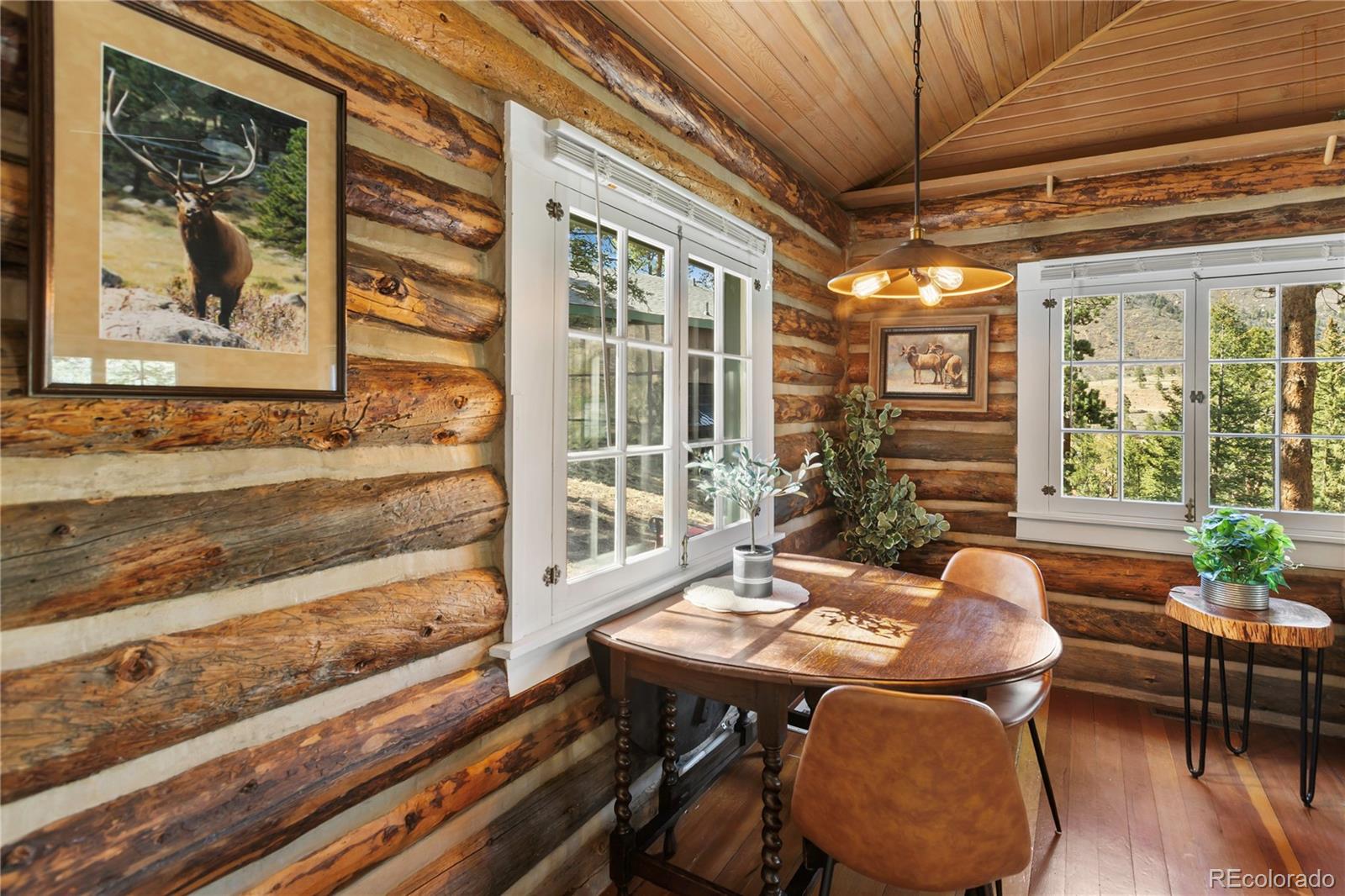 MLS Image #13 for 9120  ute road,cascade, Colorado