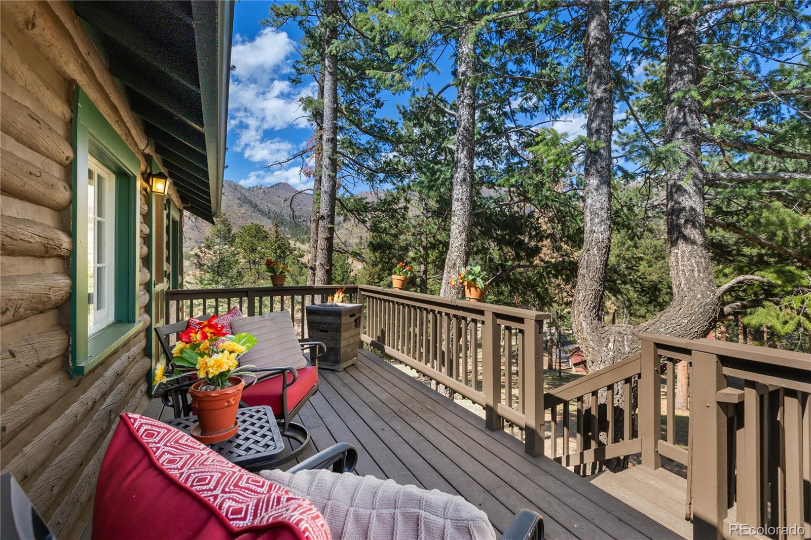 MLS Image #3 for 9120  ute road,cascade, Colorado