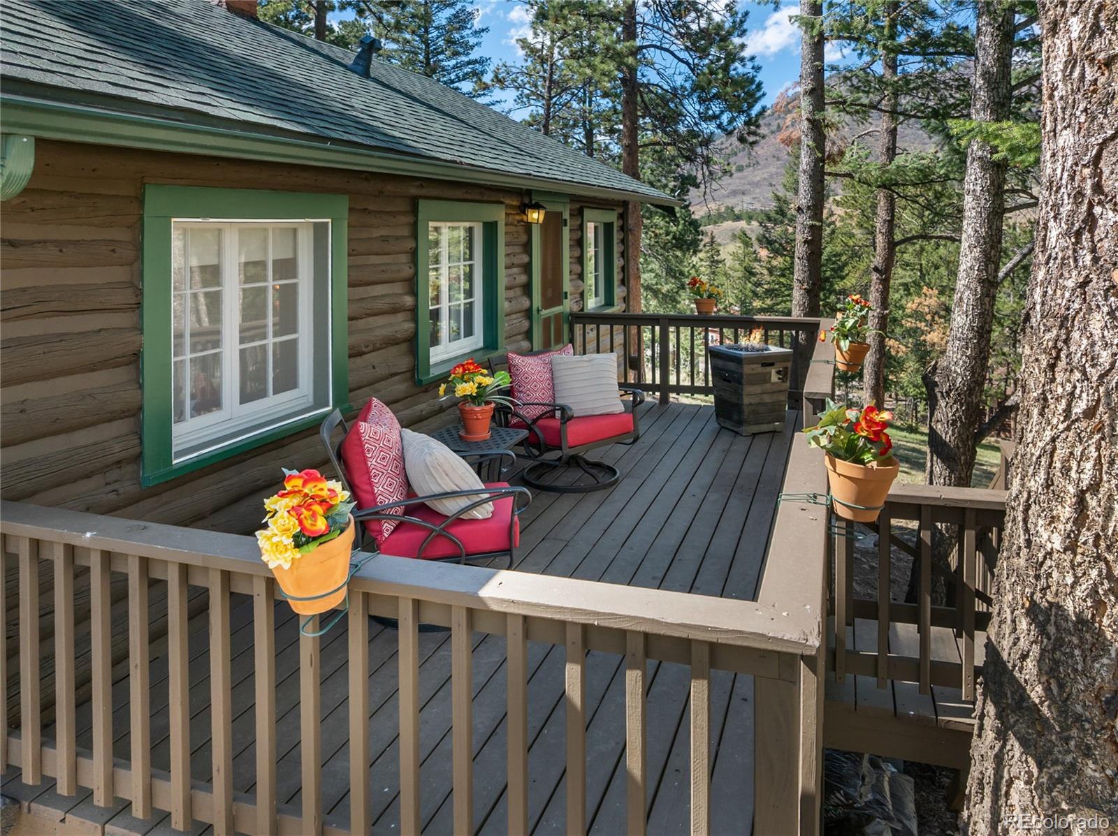 MLS Image #35 for 9120  ute road,cascade, Colorado