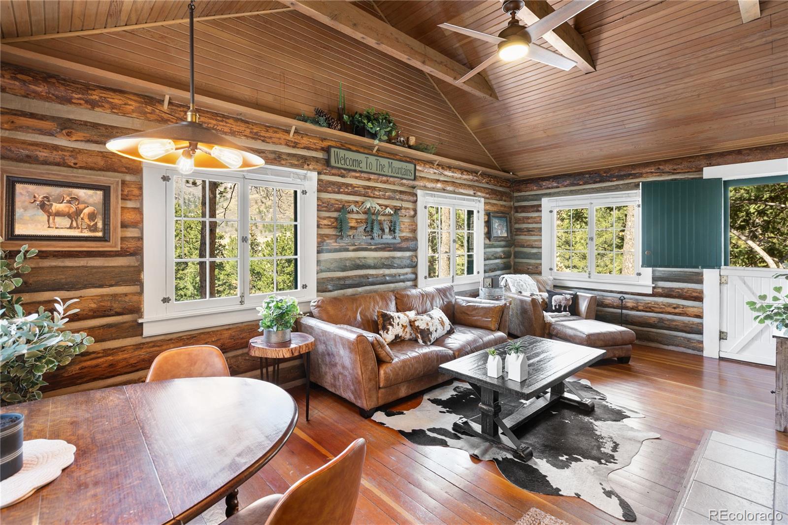 MLS Image #4 for 9120  ute road,cascade, Colorado