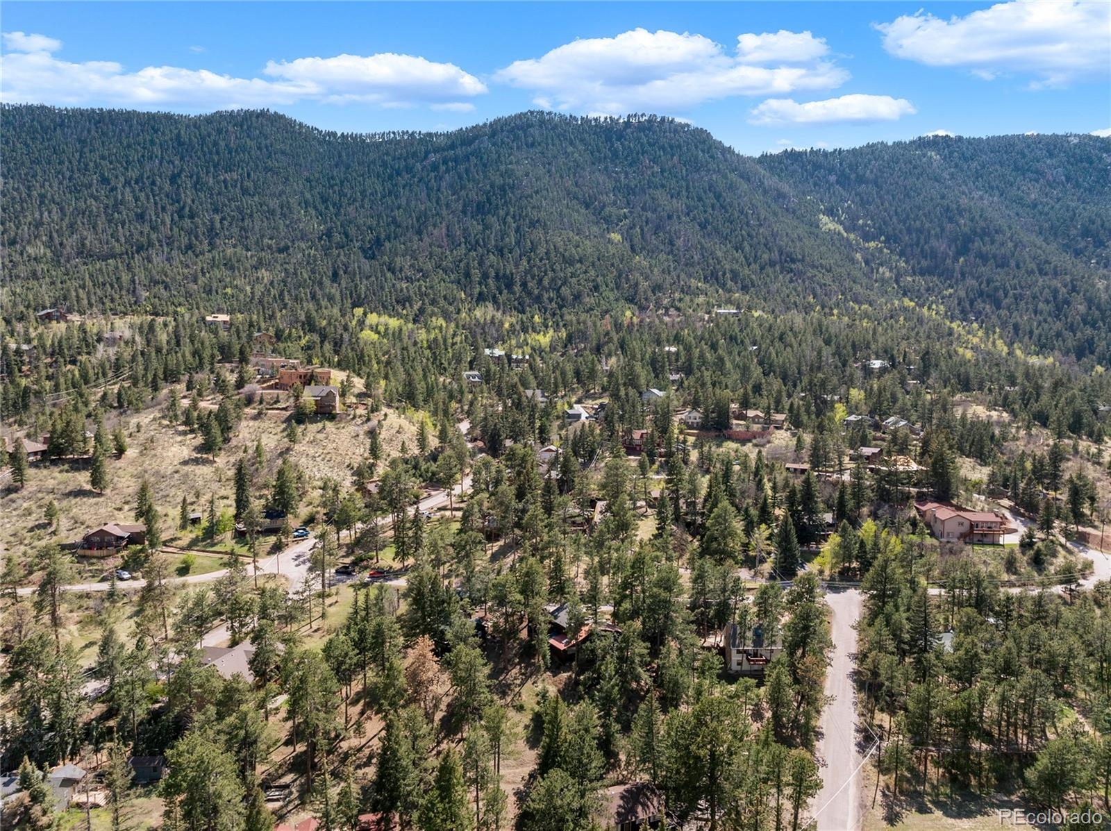 MLS Image #5 for 9120  ute road,cascade, Colorado