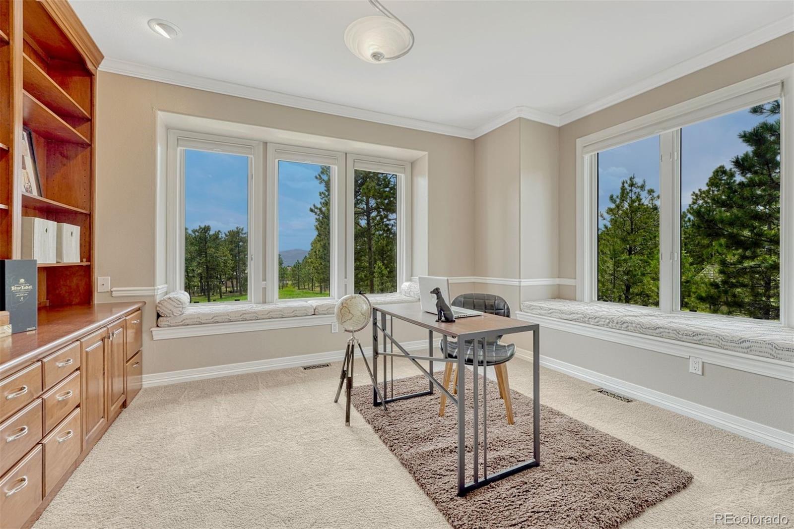 MLS Image #14 for 17190  colonial park drive,monument, Colorado