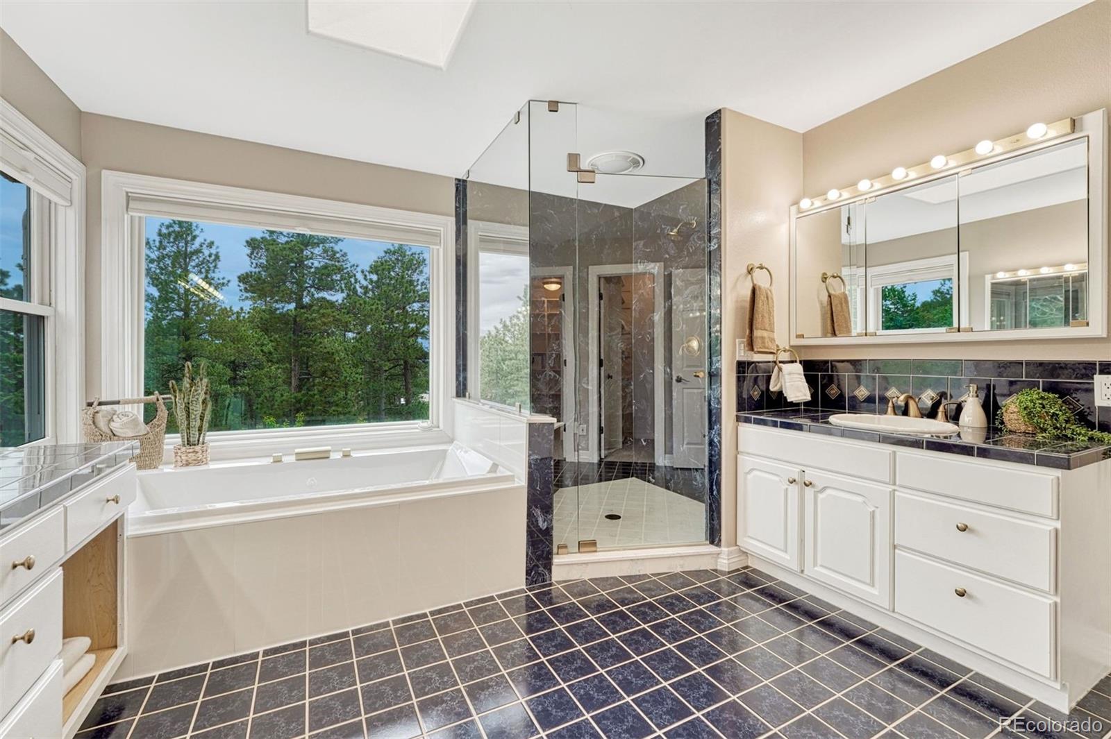 MLS Image #35 for 17190  colonial park drive,monument, Colorado