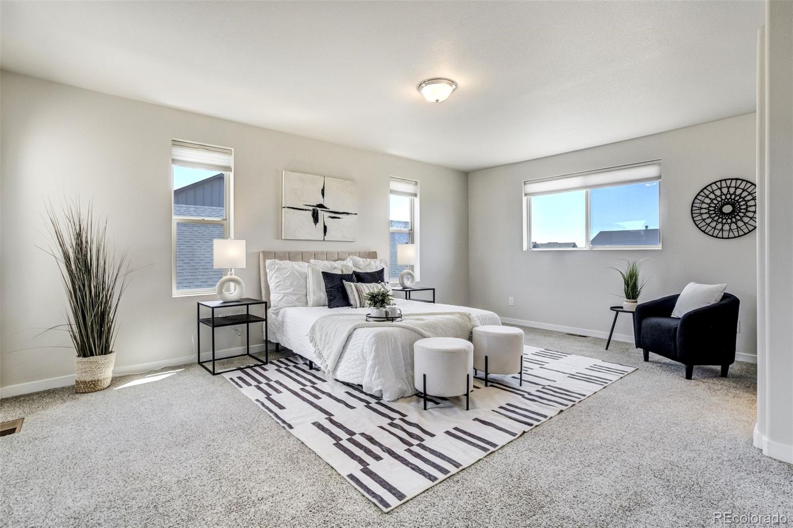 MLS Image #20 for 7533  bandana way,colorado springs, Colorado