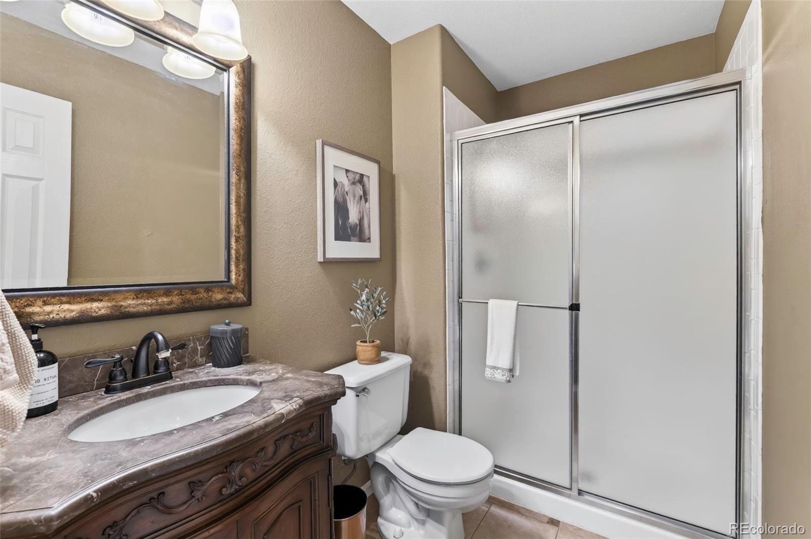 MLS Image #15 for 10209  woodrose court,highlands ranch, Colorado