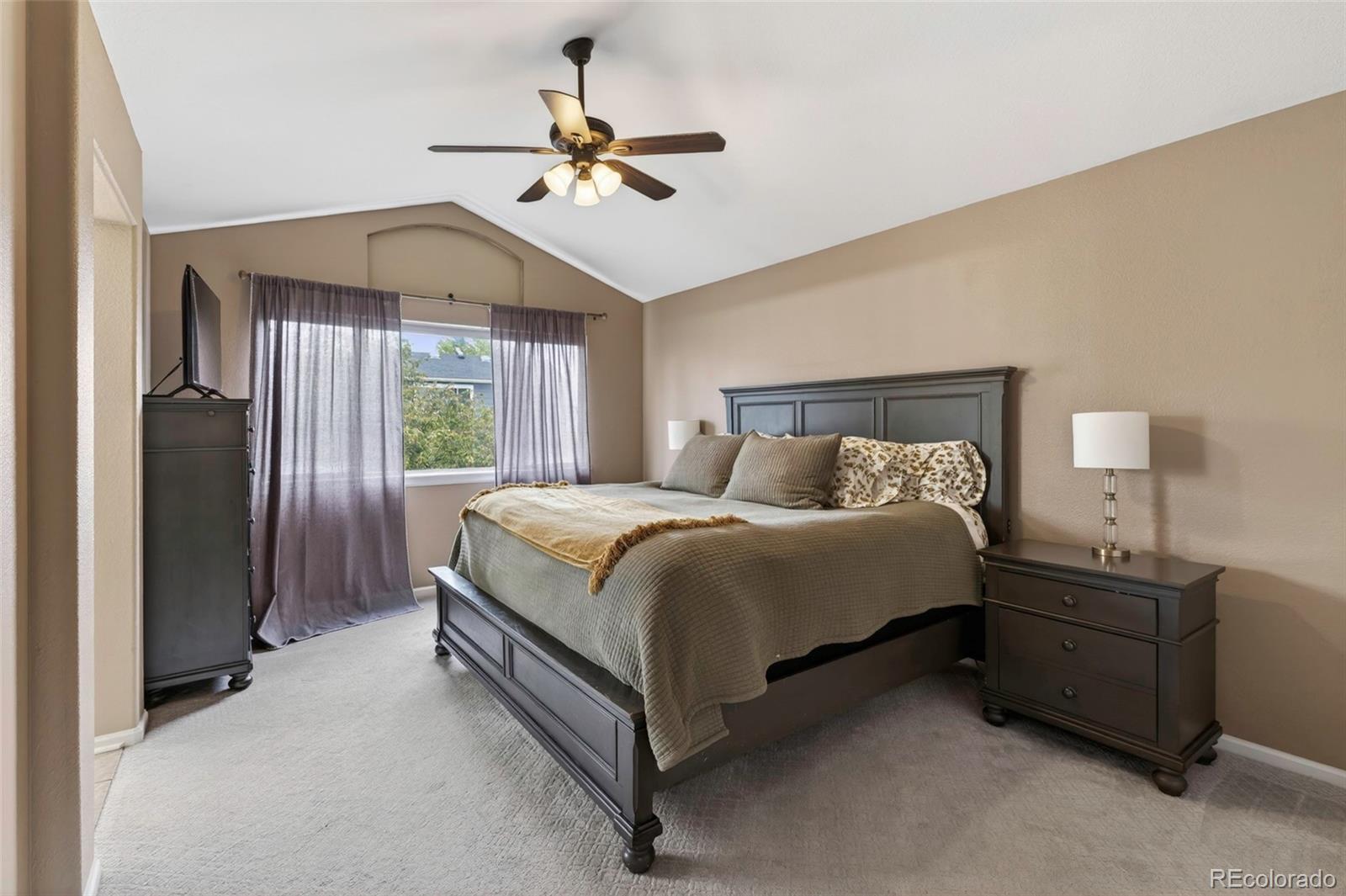 MLS Image #18 for 10209  woodrose court,highlands ranch, Colorado