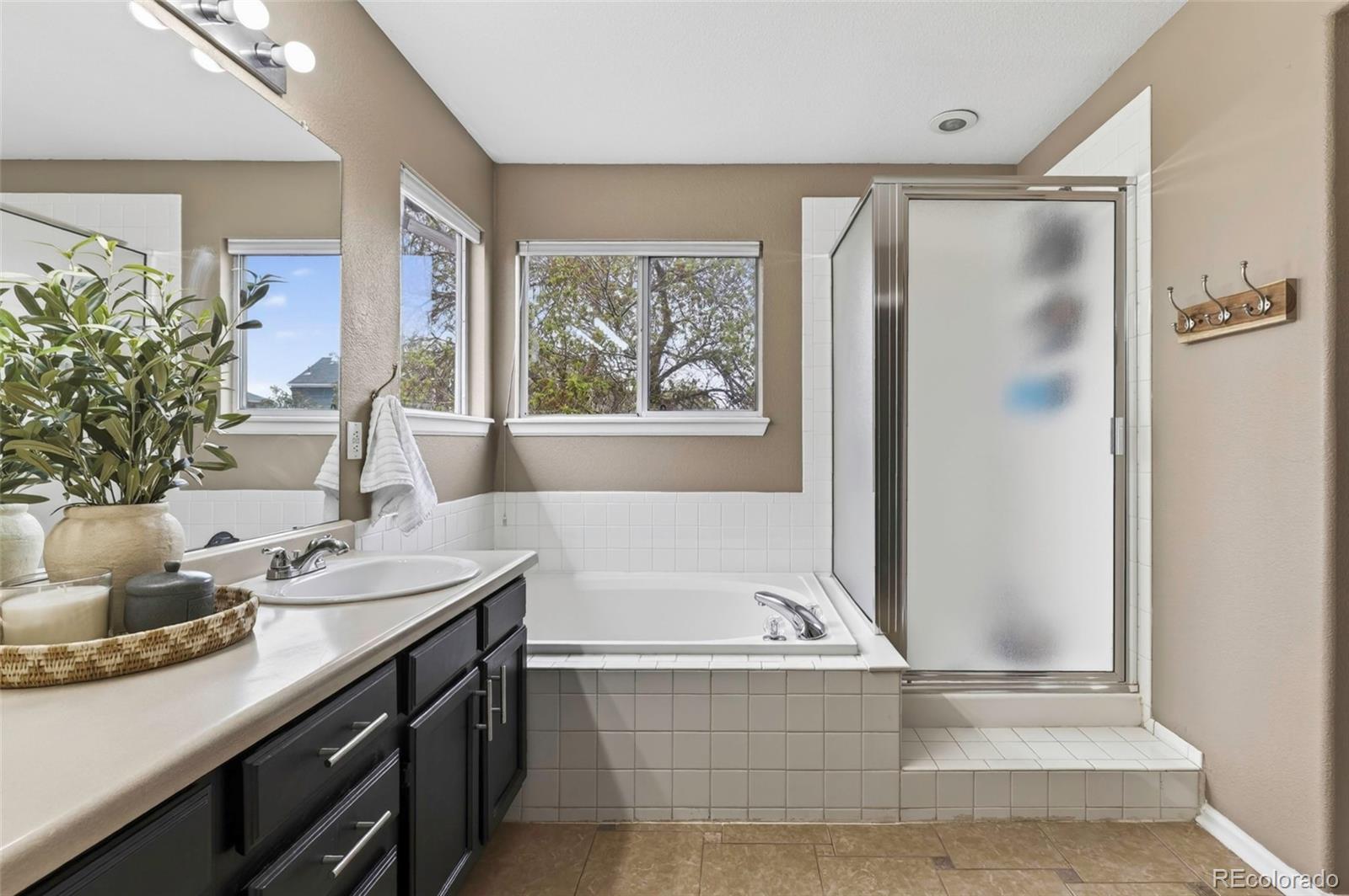 MLS Image #22 for 10209  woodrose court,highlands ranch, Colorado
