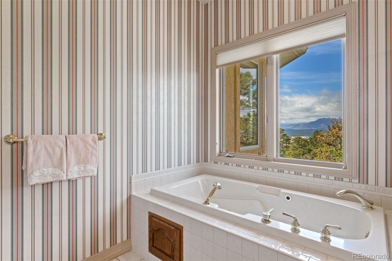 MLS Image #24 for 525  silhouette way,monument, Colorado