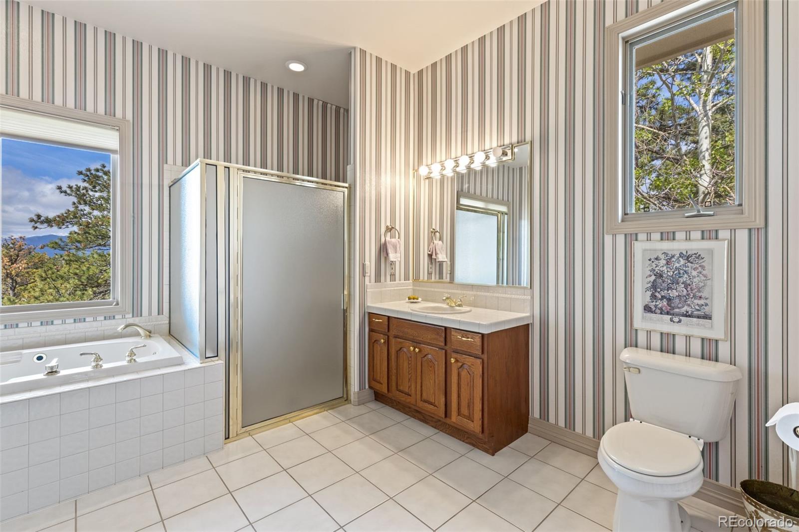 MLS Image #25 for 525  silhouette way,monument, Colorado