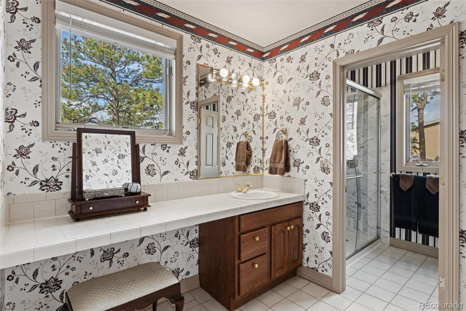 MLS Image #33 for 525  silhouette way,monument, Colorado