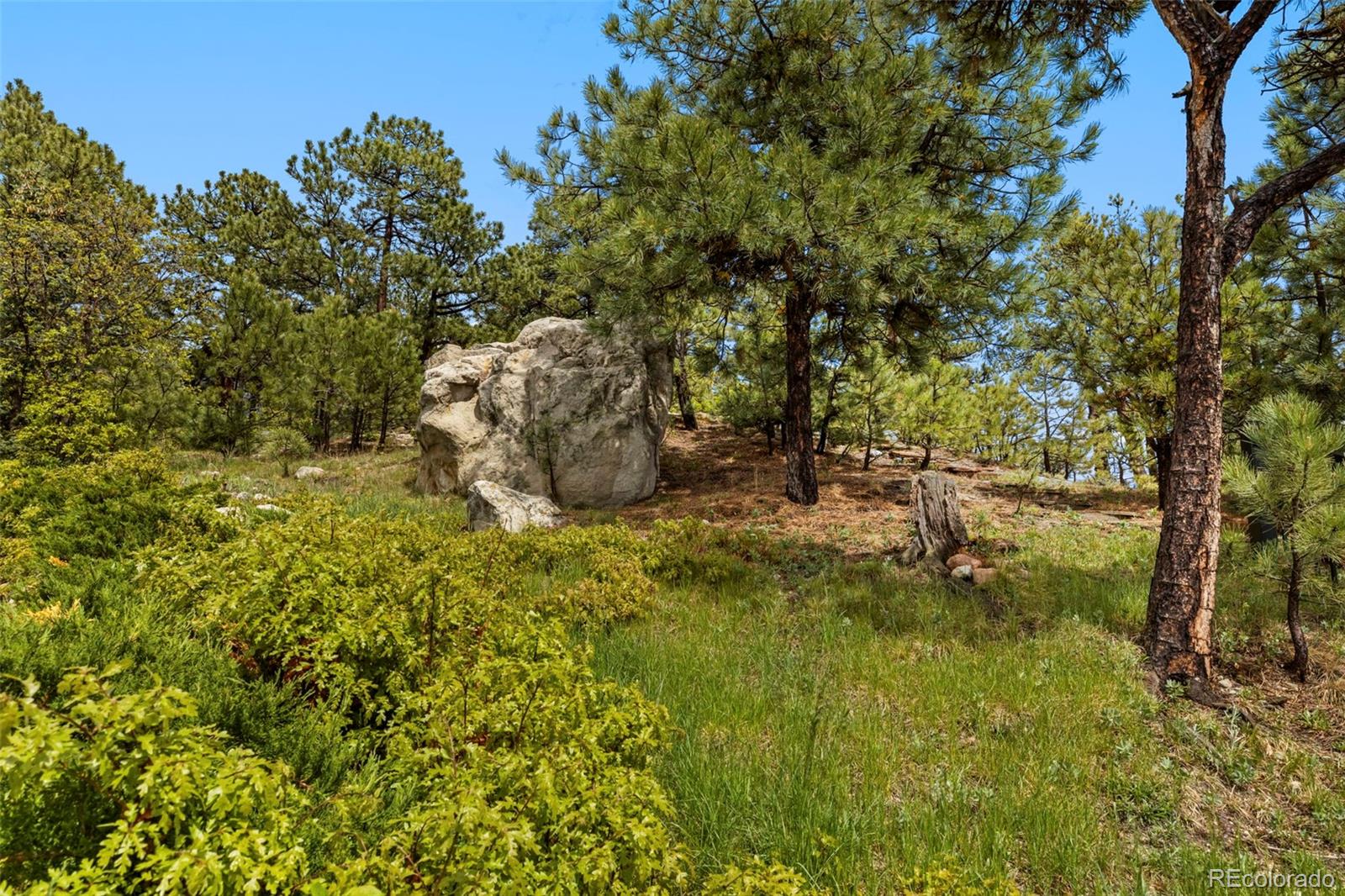 MLS Image #43 for 525  silhouette way,monument, Colorado