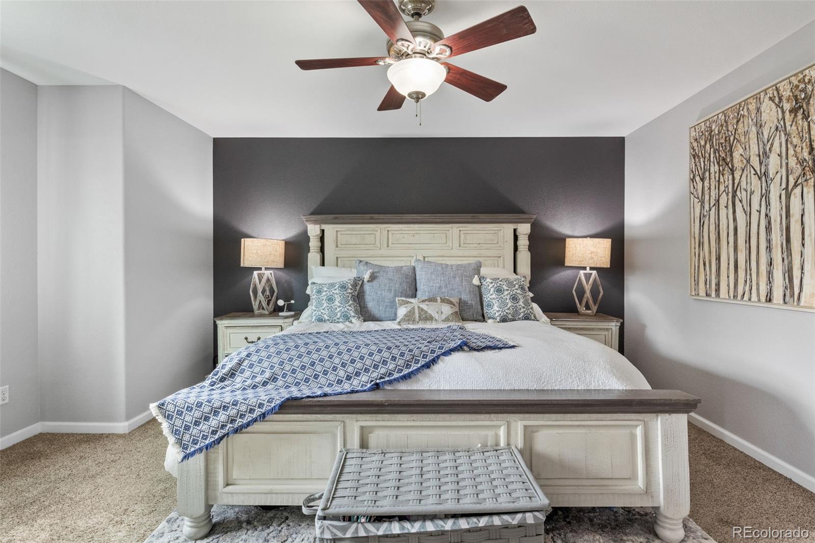 MLS Image #17 for 573  springvale road,castle rock, Colorado