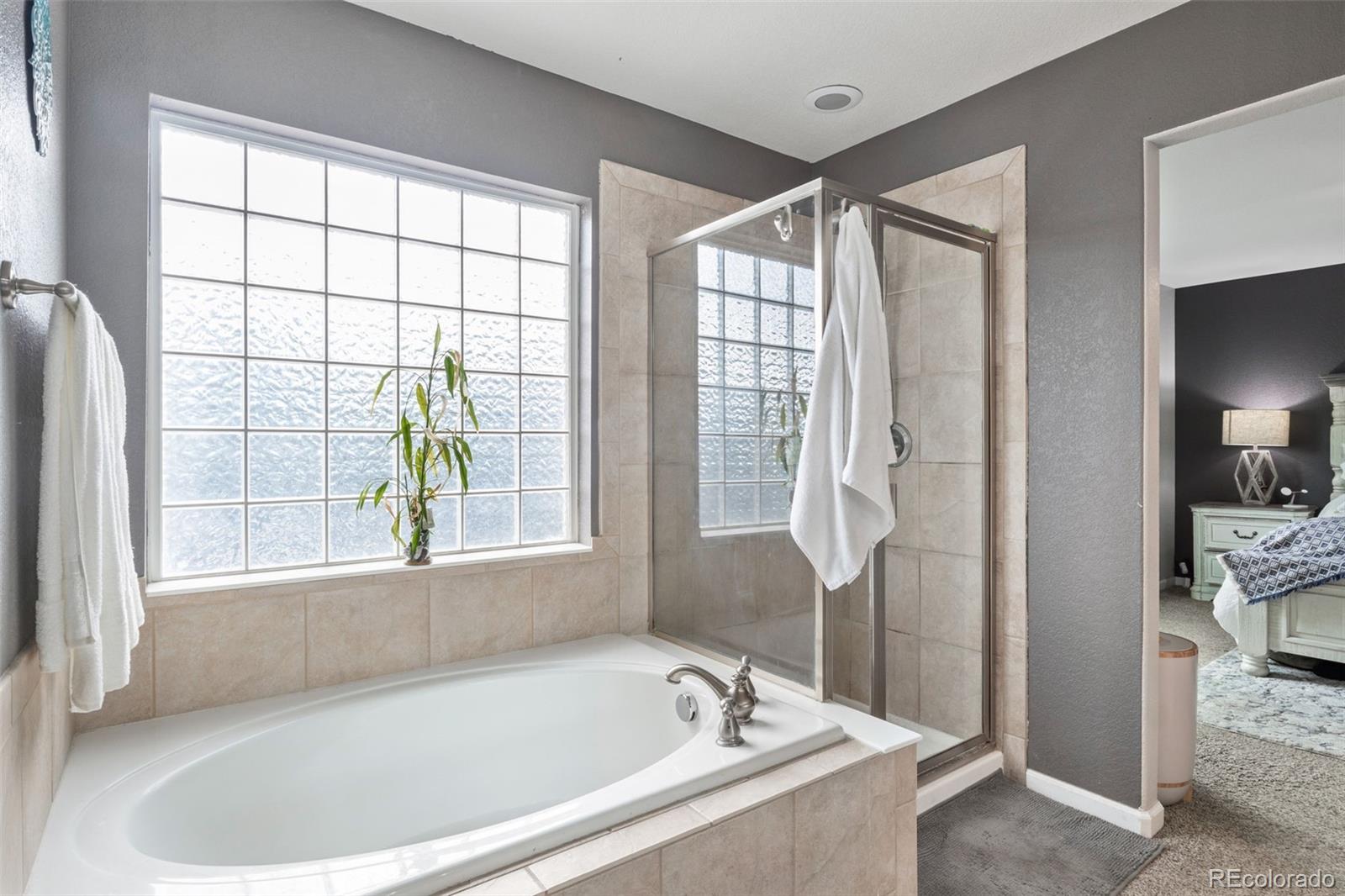 MLS Image #19 for 573  springvale road,castle rock, Colorado