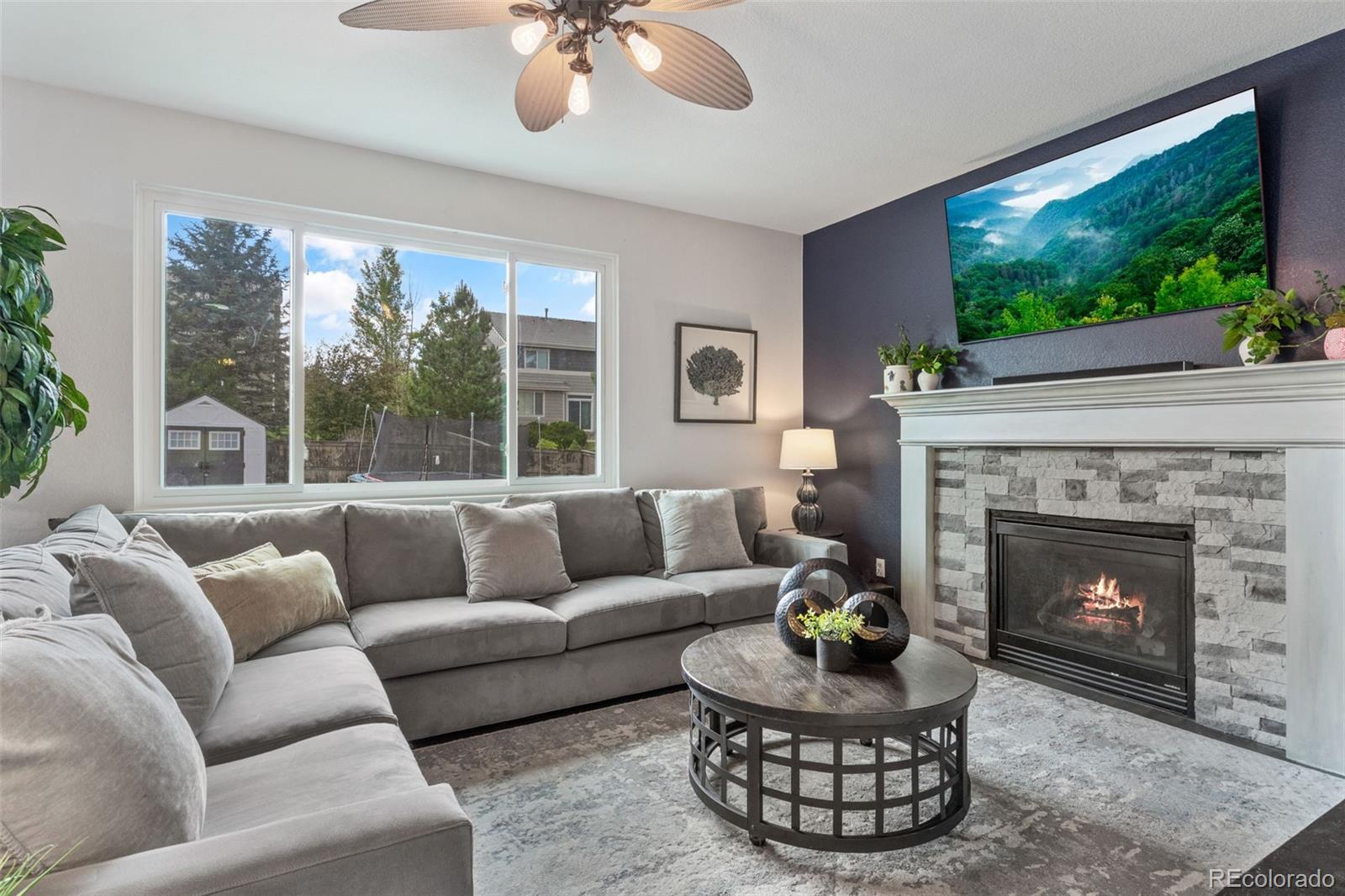 MLS Image #7 for 573  springvale road,castle rock, Colorado