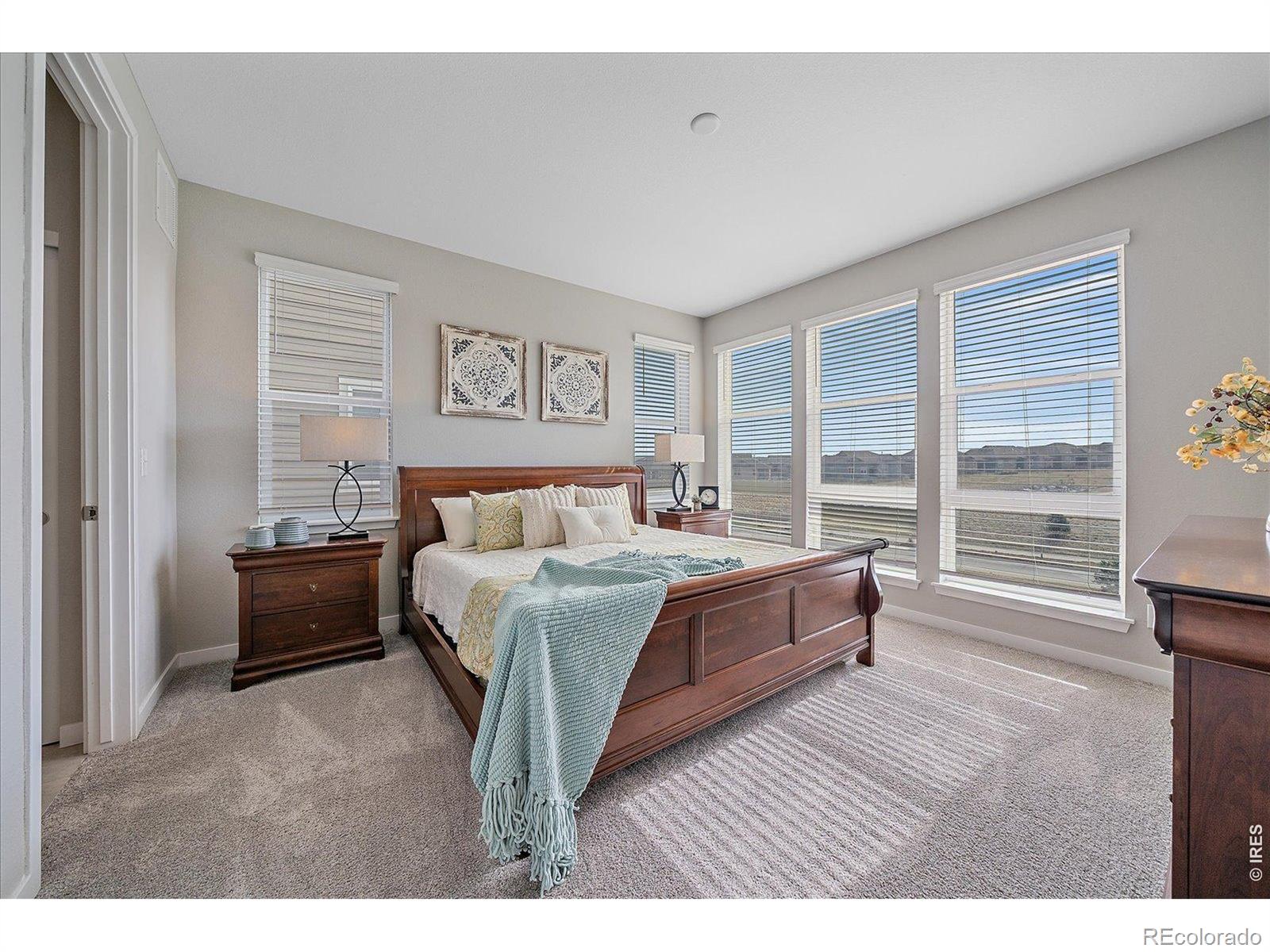 MLS Image #17 for 3648  cerf way,castle rock, Colorado