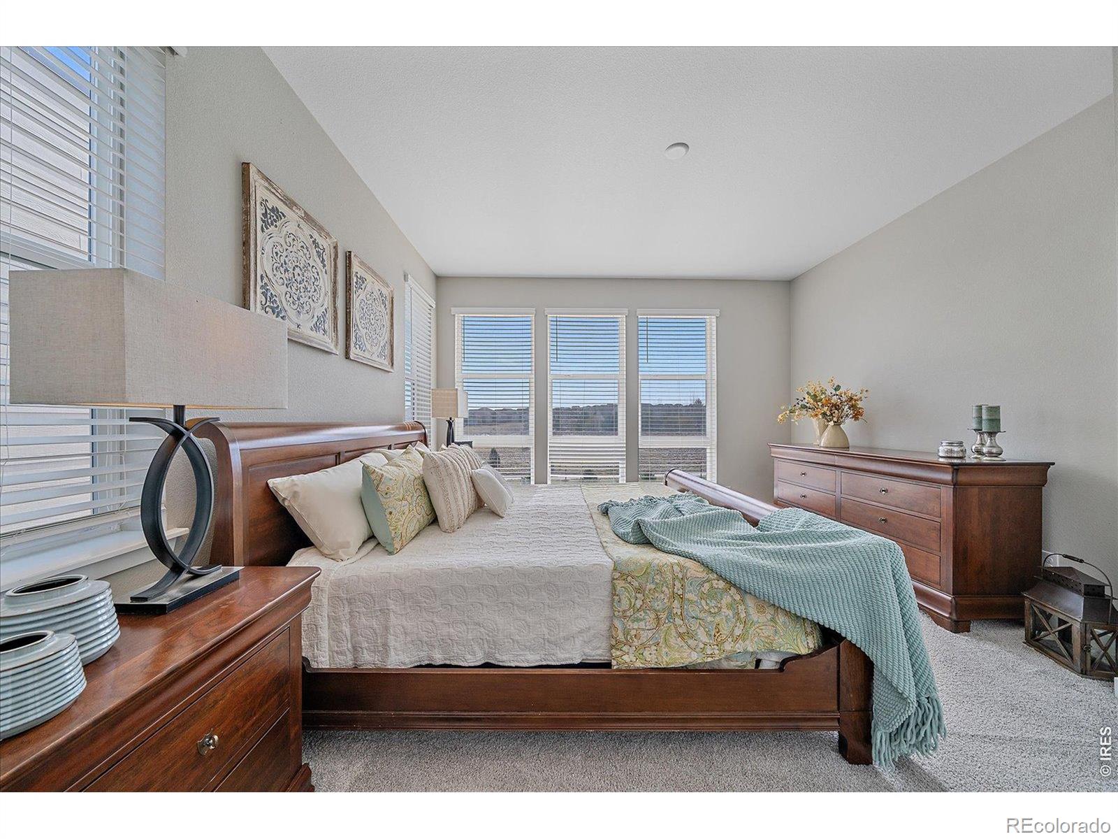 MLS Image #18 for 3648  cerf way,castle rock, Colorado