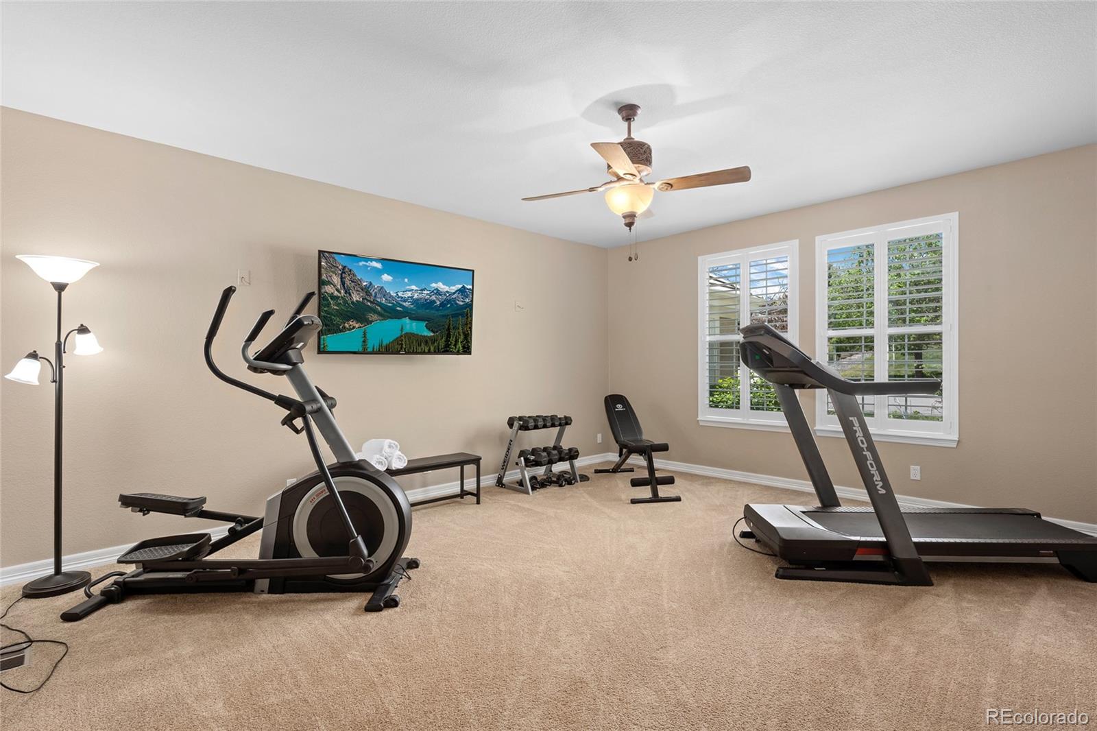 MLS Image #24 for 3718  elk run drive,castle rock, Colorado