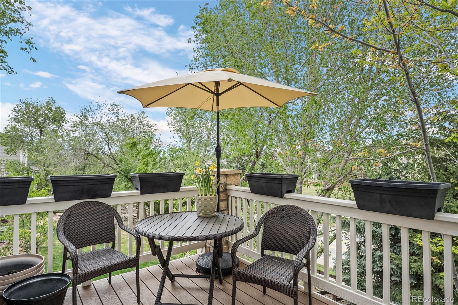 MLS Image #45 for 3718  elk run drive,castle rock, Colorado