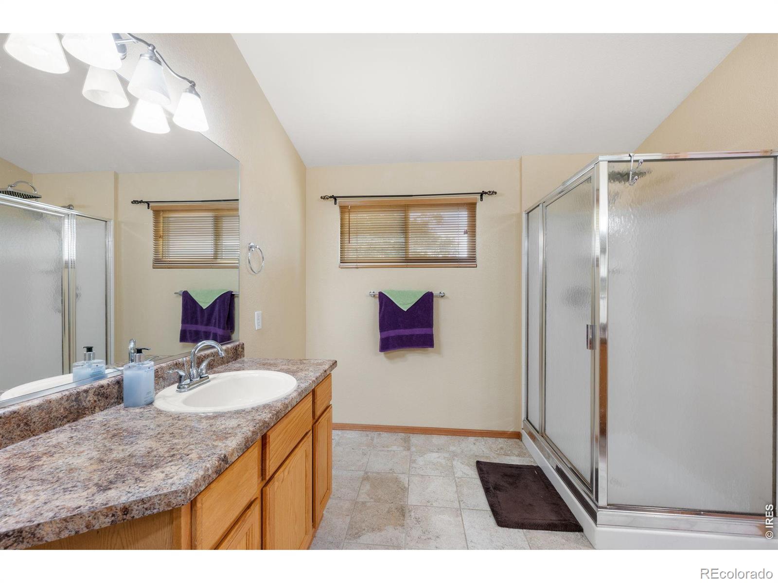 MLS Image #16 for 79  red oak court,erie, Colorado