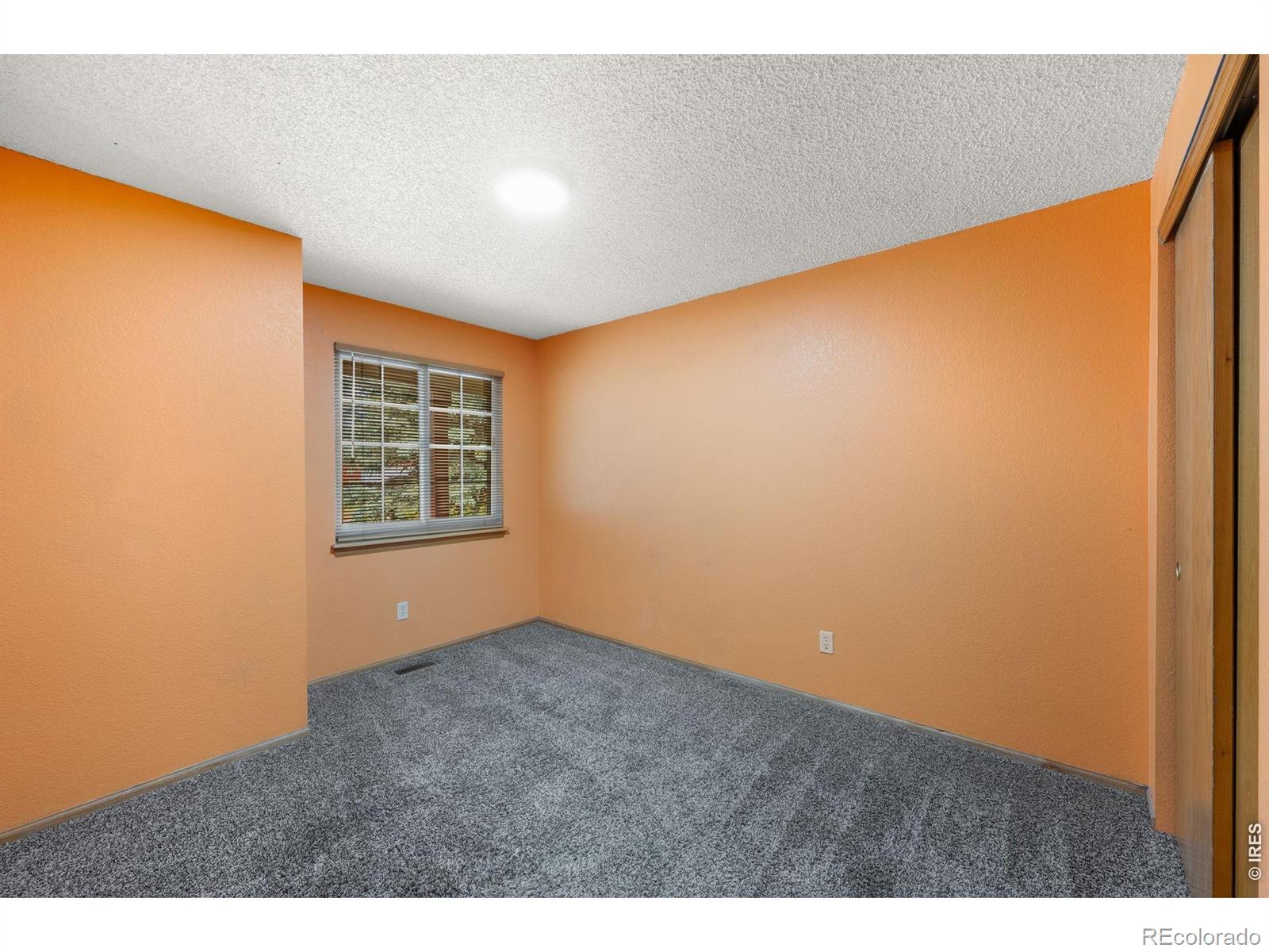 MLS Image #18 for 79  red oak court,erie, Colorado