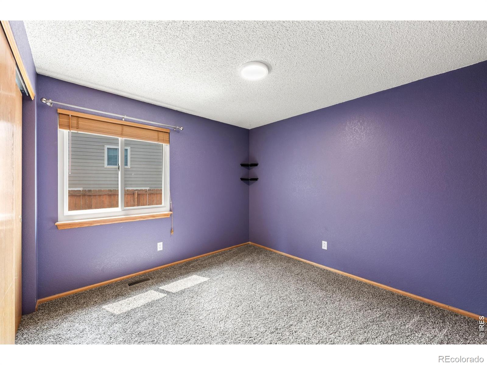 MLS Image #19 for 79  red oak court,erie, Colorado