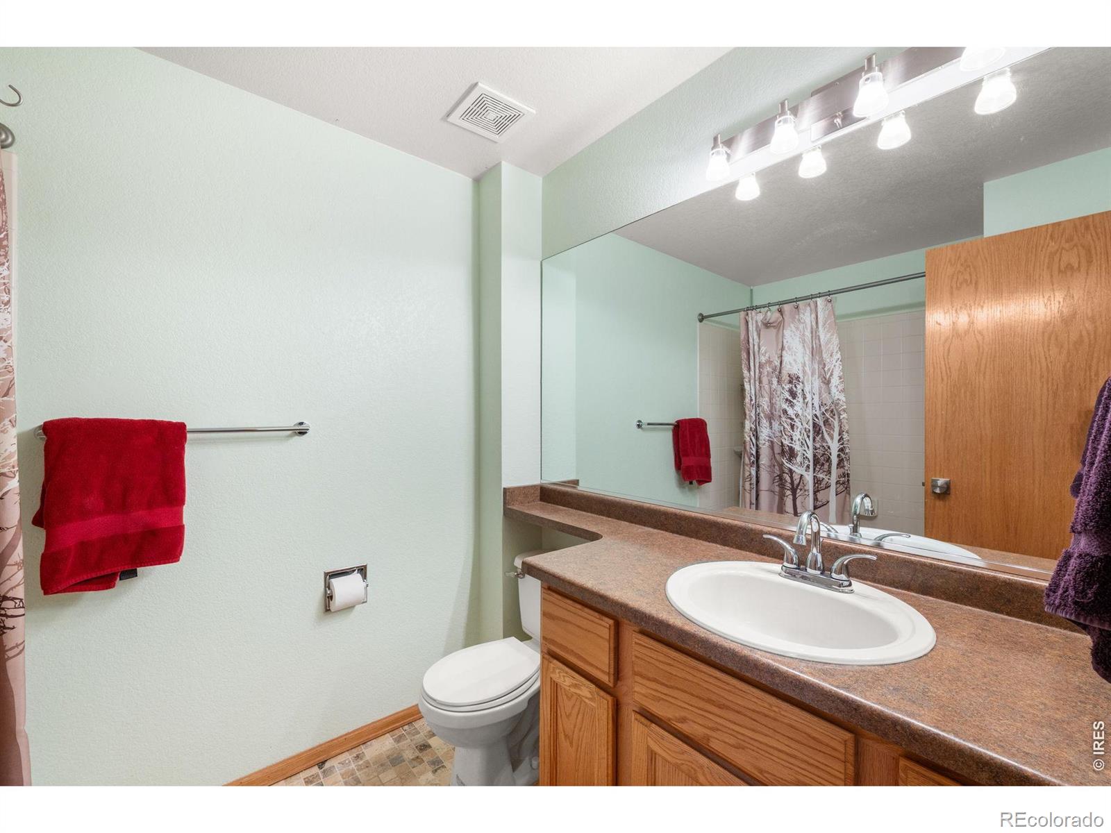 MLS Image #20 for 79  red oak court,erie, Colorado