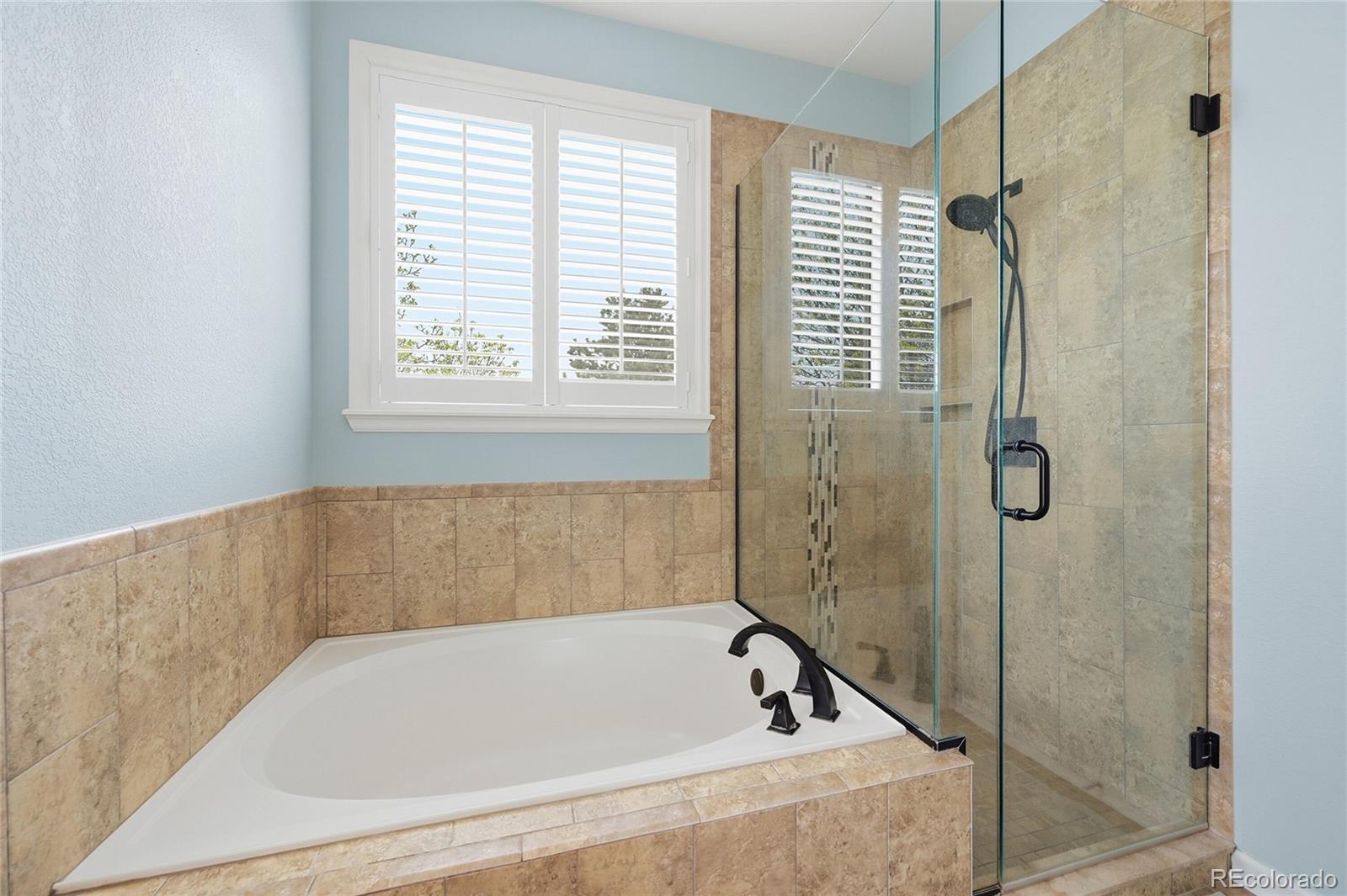 MLS Image #12 for 16624  santolina court,parker, Colorado