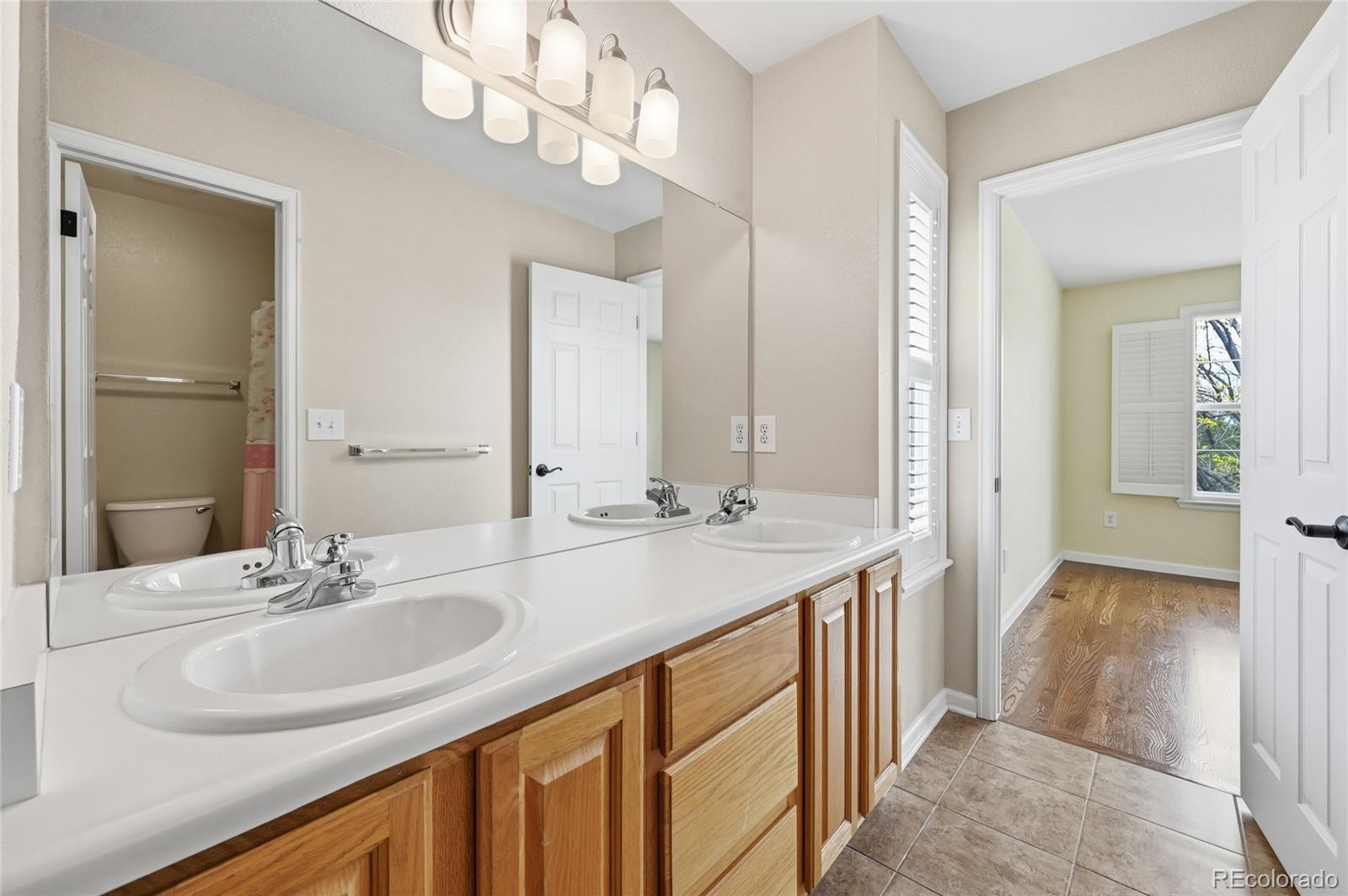MLS Image #16 for 16624  santolina court,parker, Colorado