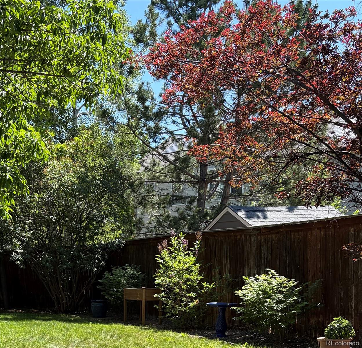 MLS Image #22 for 16624  santolina court,parker, Colorado