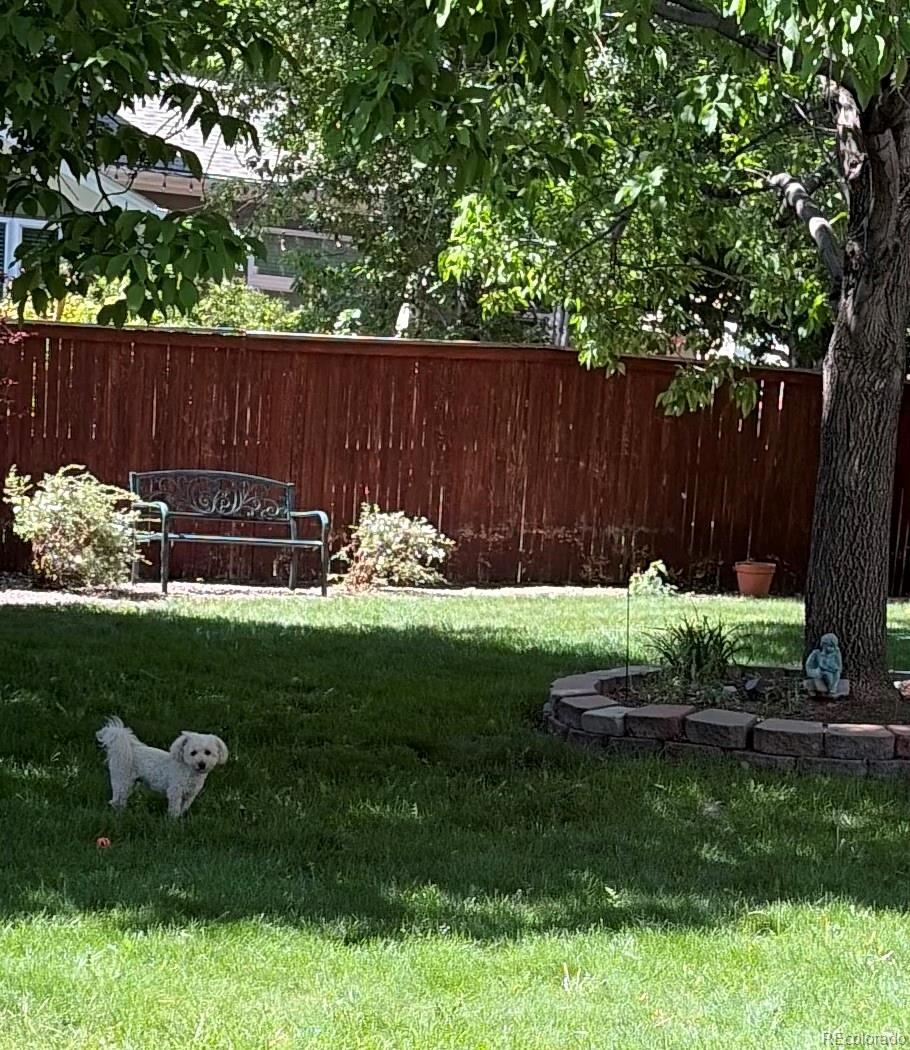 MLS Image #23 for 16624  santolina court,parker, Colorado