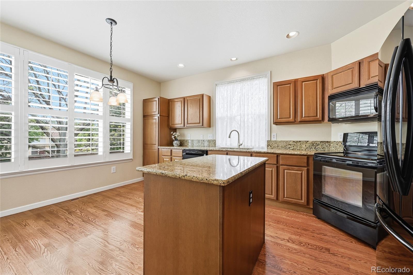 MLS Image #6 for 16624  santolina court,parker, Colorado