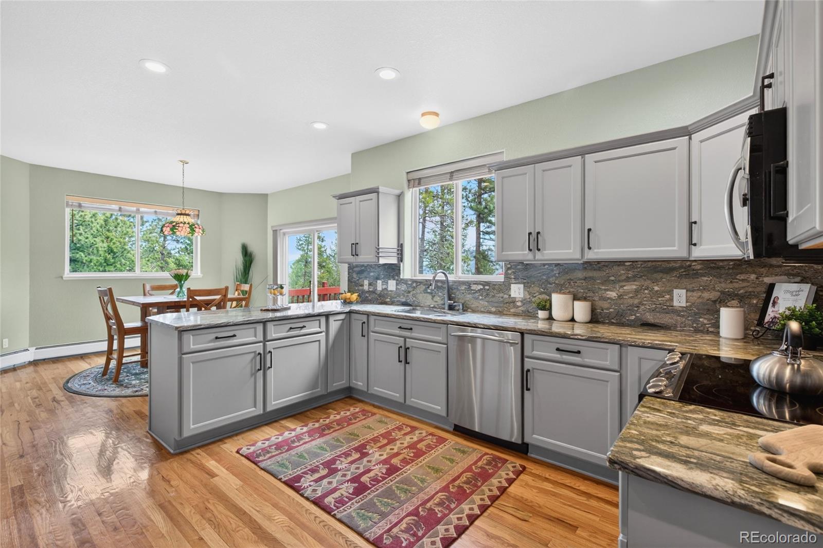 MLS Image #11 for 1856  santa fe mountain road,evergreen, Colorado