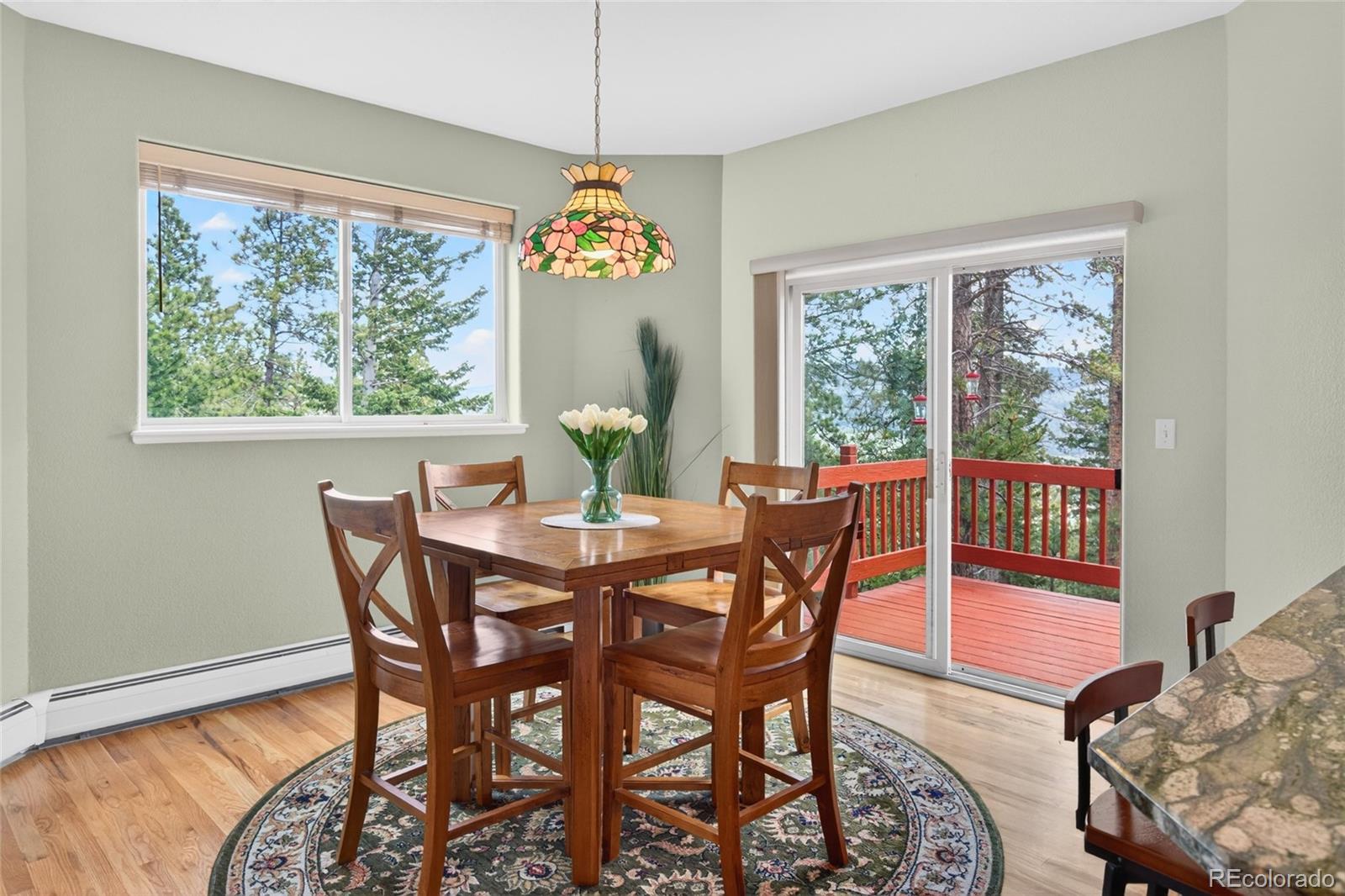 MLS Image #12 for 1856  santa fe mountain road,evergreen, Colorado