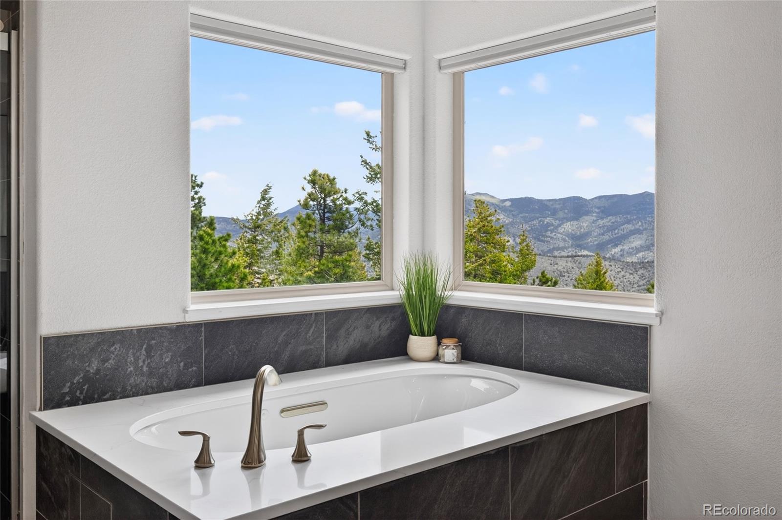 MLS Image #17 for 1856  santa fe mountain road,evergreen, Colorado