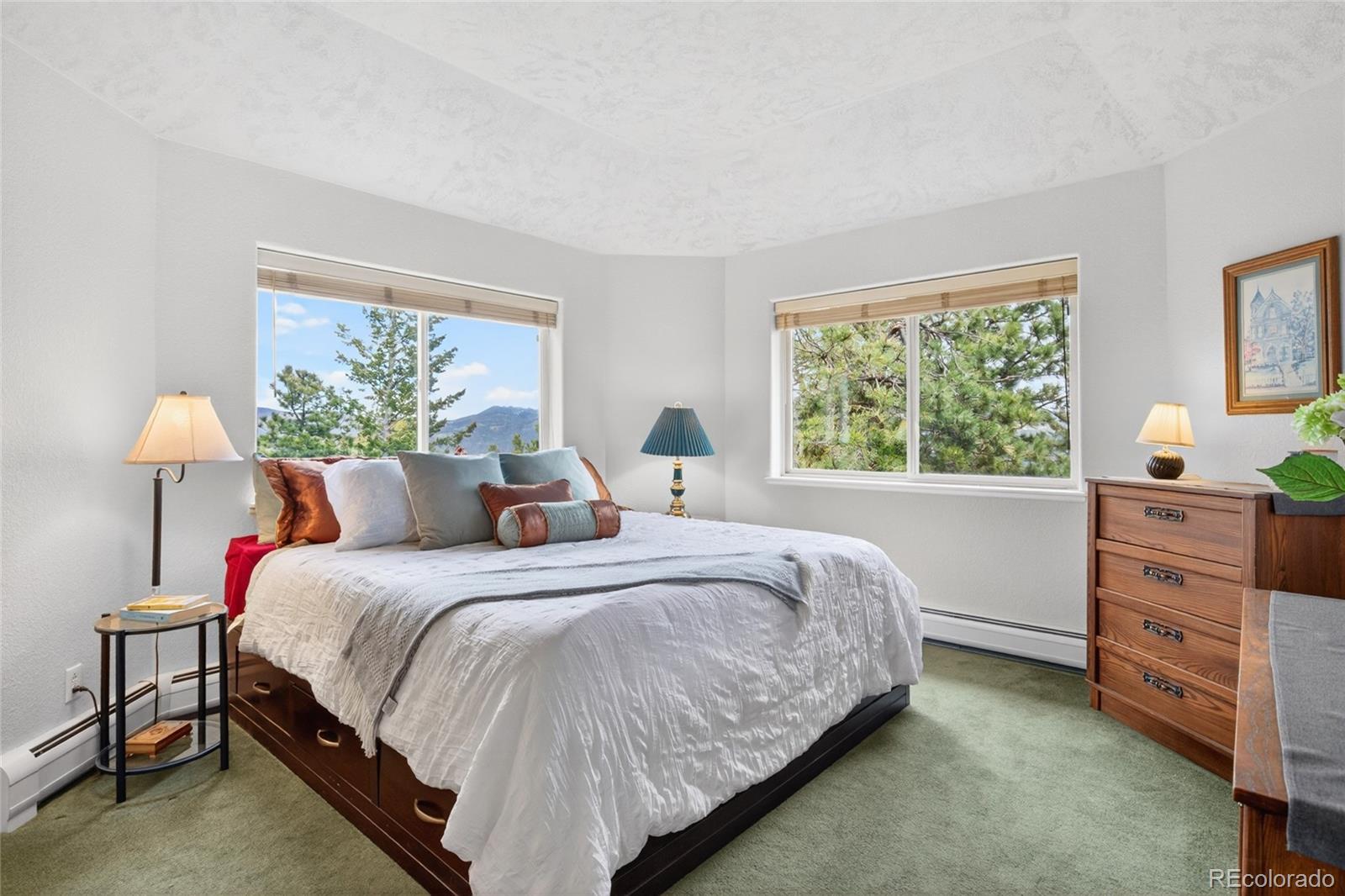 MLS Image #18 for 1856  santa fe mountain road,evergreen, Colorado
