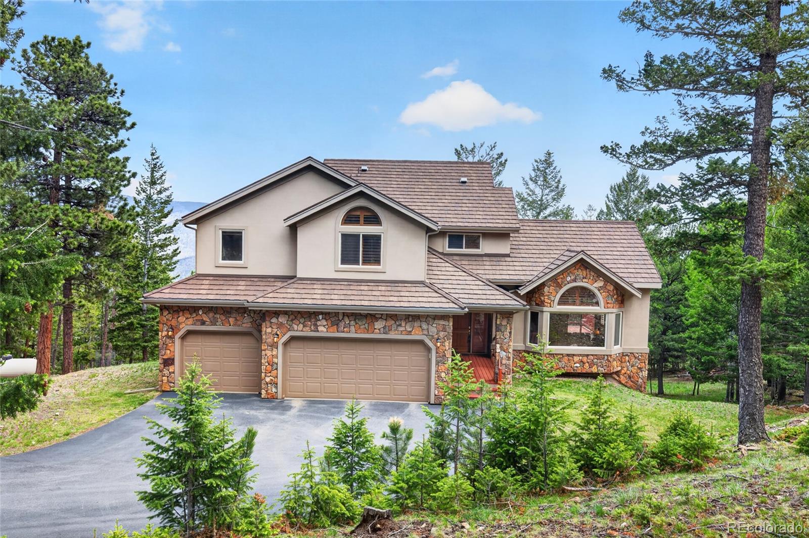 MLS Image #2 for 1856  santa fe mountain road,evergreen, Colorado