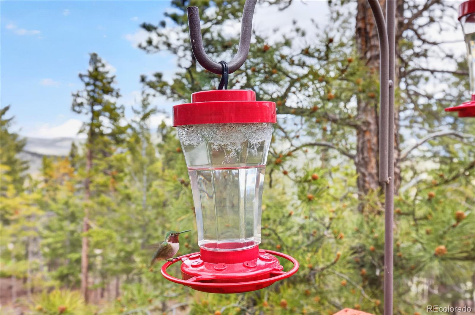 MLS Image #26 for 1856  santa fe mountain road,evergreen, Colorado