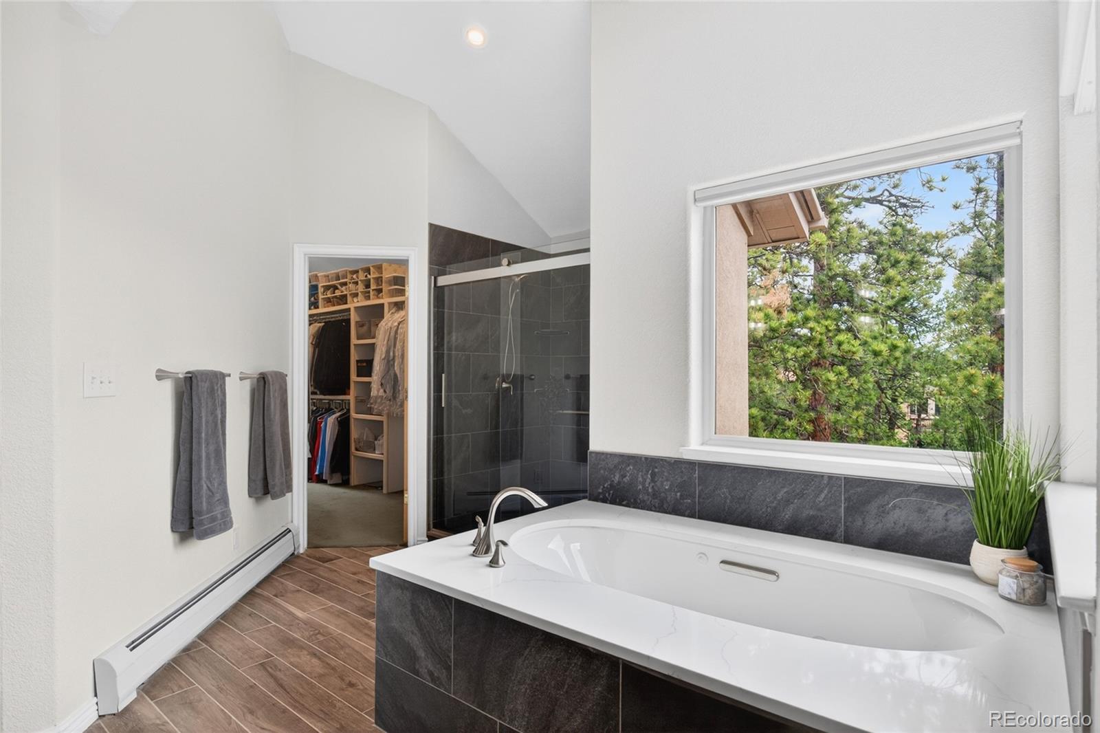 MLS Image #41 for 1856  santa fe mountain road,evergreen, Colorado