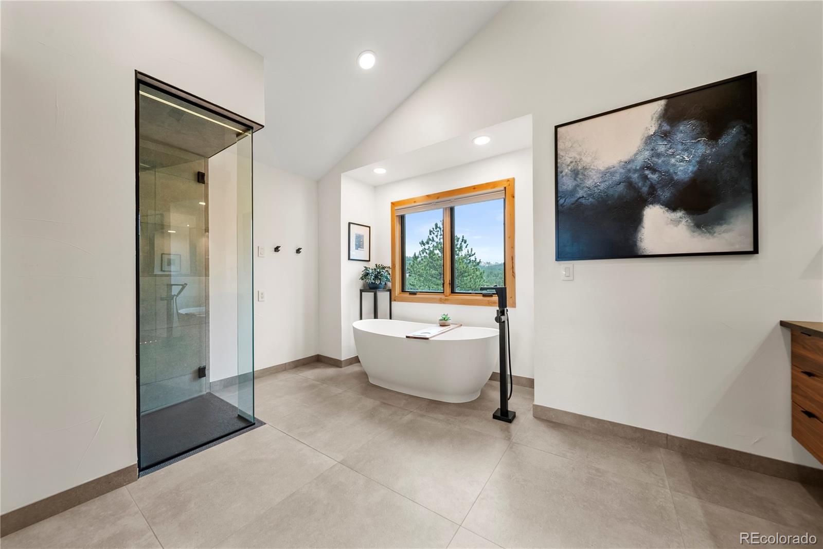 MLS Image #16 for 25734  bristlecone court,golden, Colorado