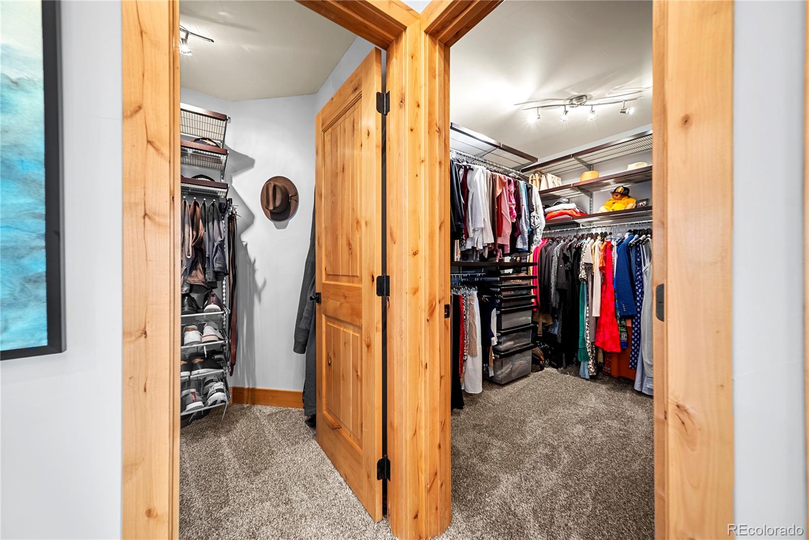 MLS Image #18 for 25734  bristlecone court,golden, Colorado